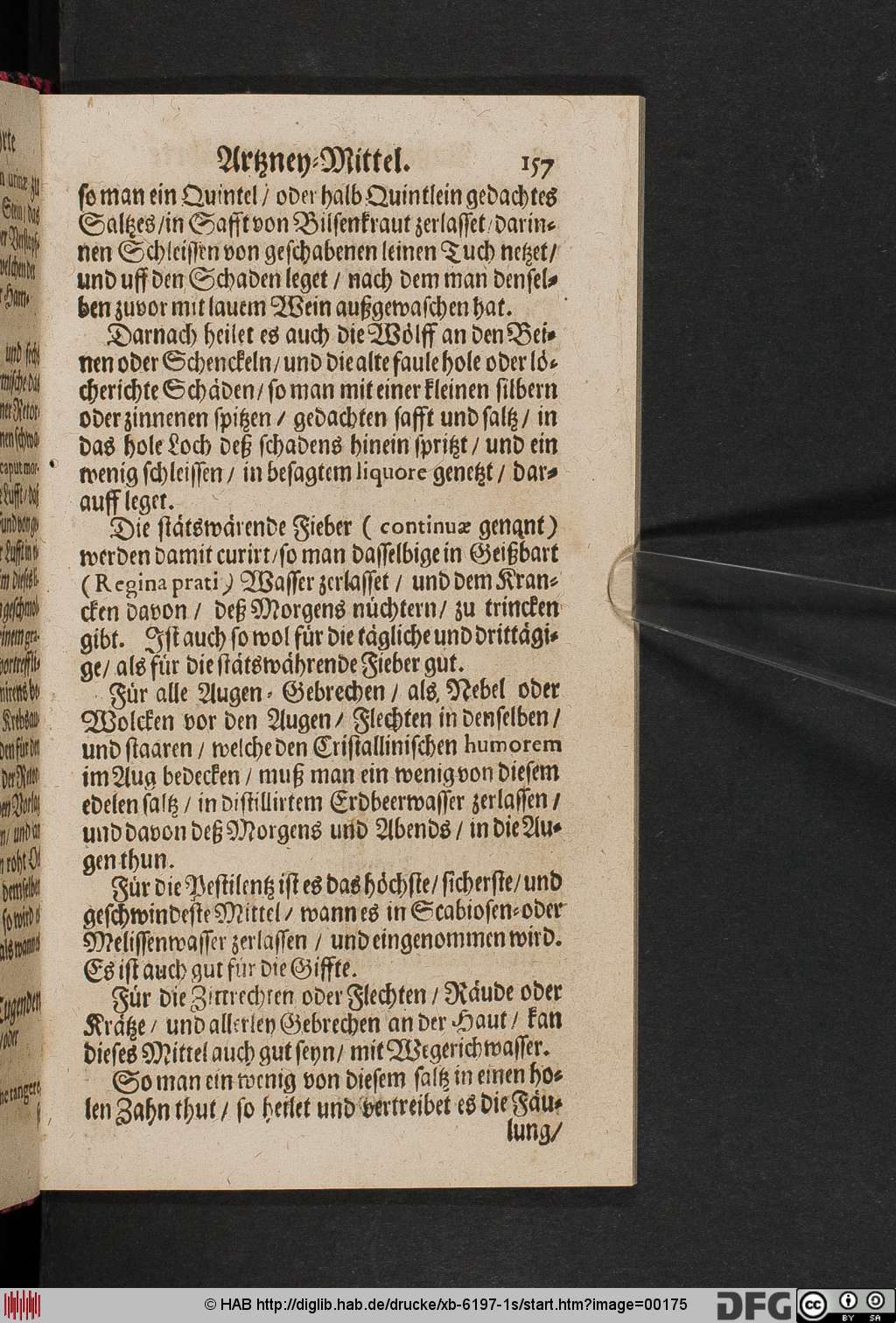 http://diglib.hab.de/drucke/xb-6197-1s/00175.jpg