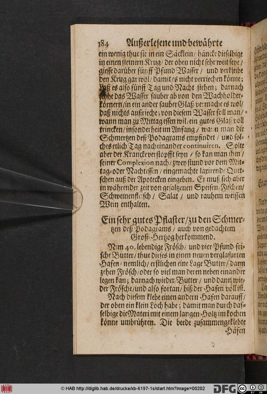 http://diglib.hab.de/drucke/xb-6197-1s/00202.jpg