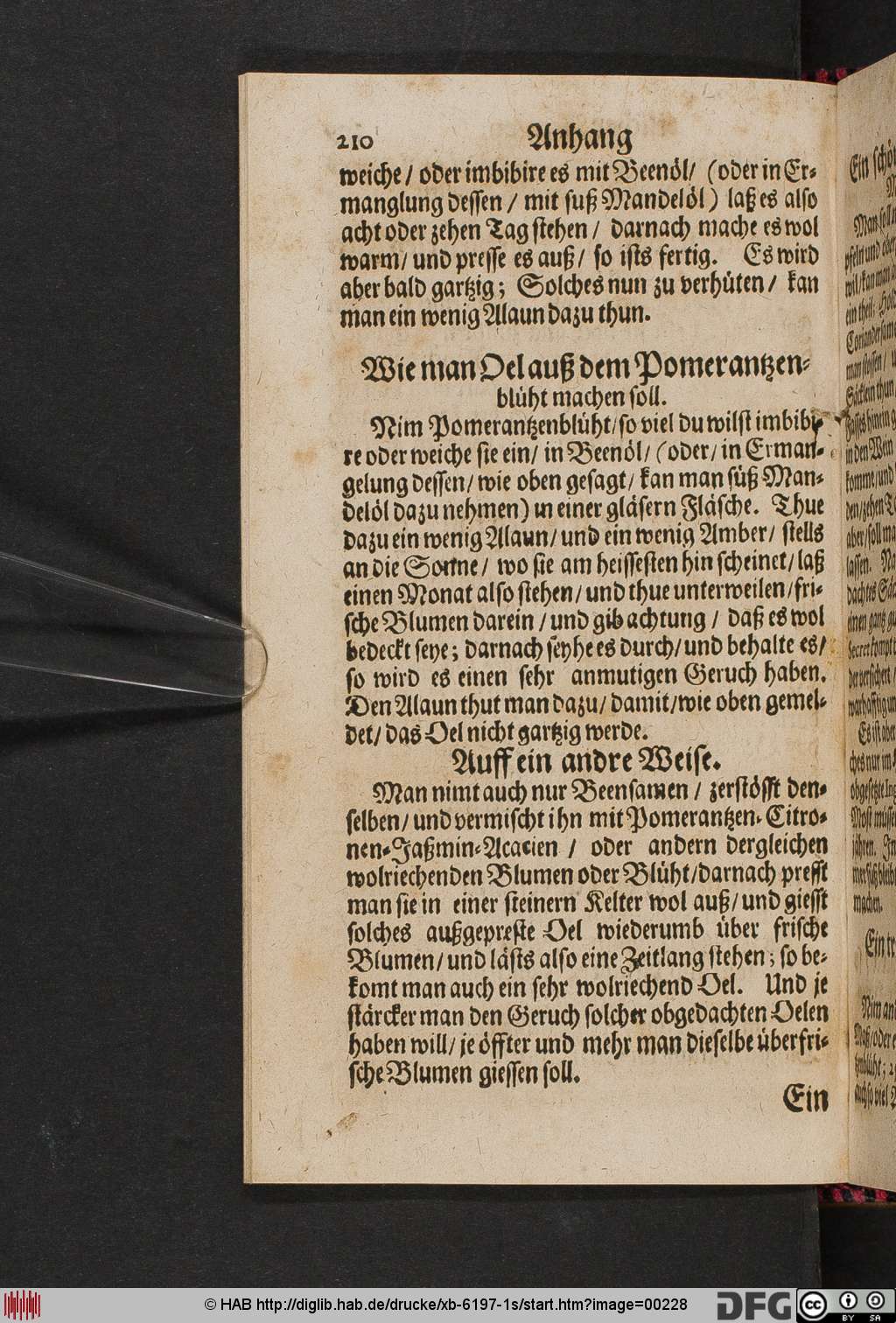 http://diglib.hab.de/drucke/xb-6197-1s/00228.jpg