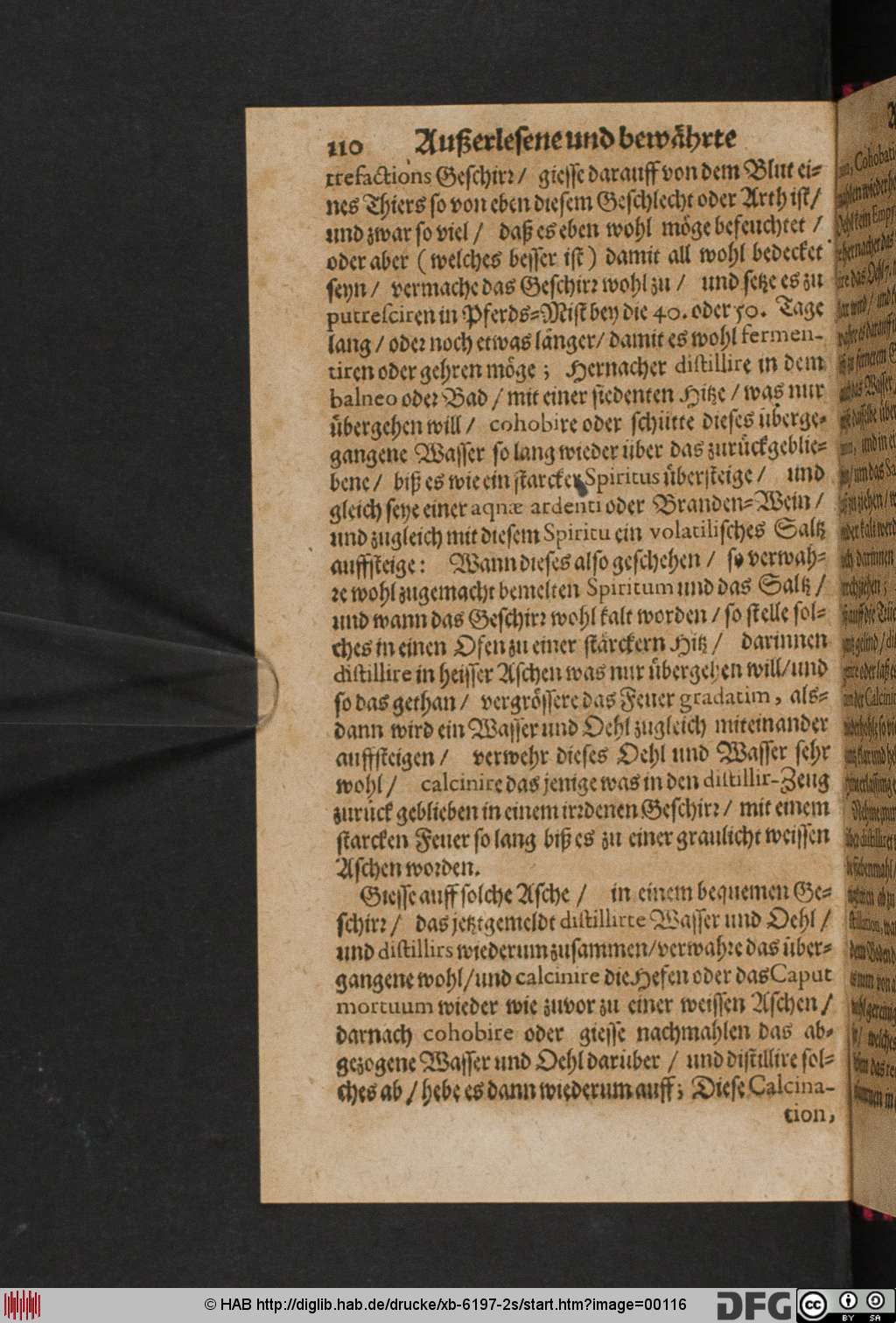 http://diglib.hab.de/drucke/xb-6197-2s/00116.jpg