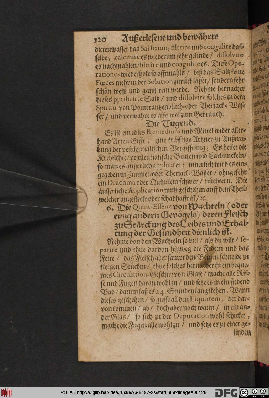 http://diglib.hab.de/drucke/xb-6197-2s/00126.jpg