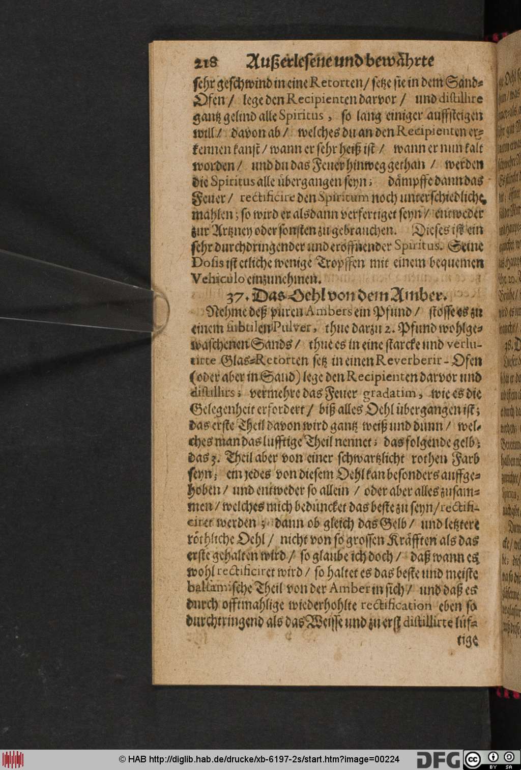 http://diglib.hab.de/drucke/xb-6197-2s/00224.jpg