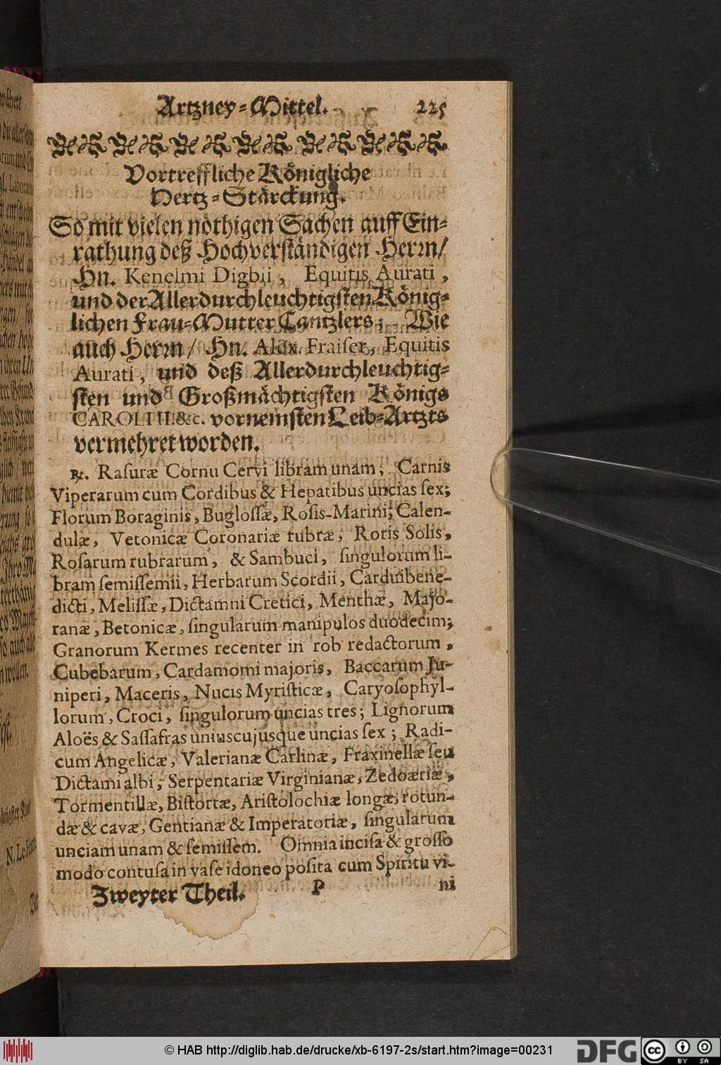 http://diglib.hab.de/drucke/xb-6197-2s/00231.jpg