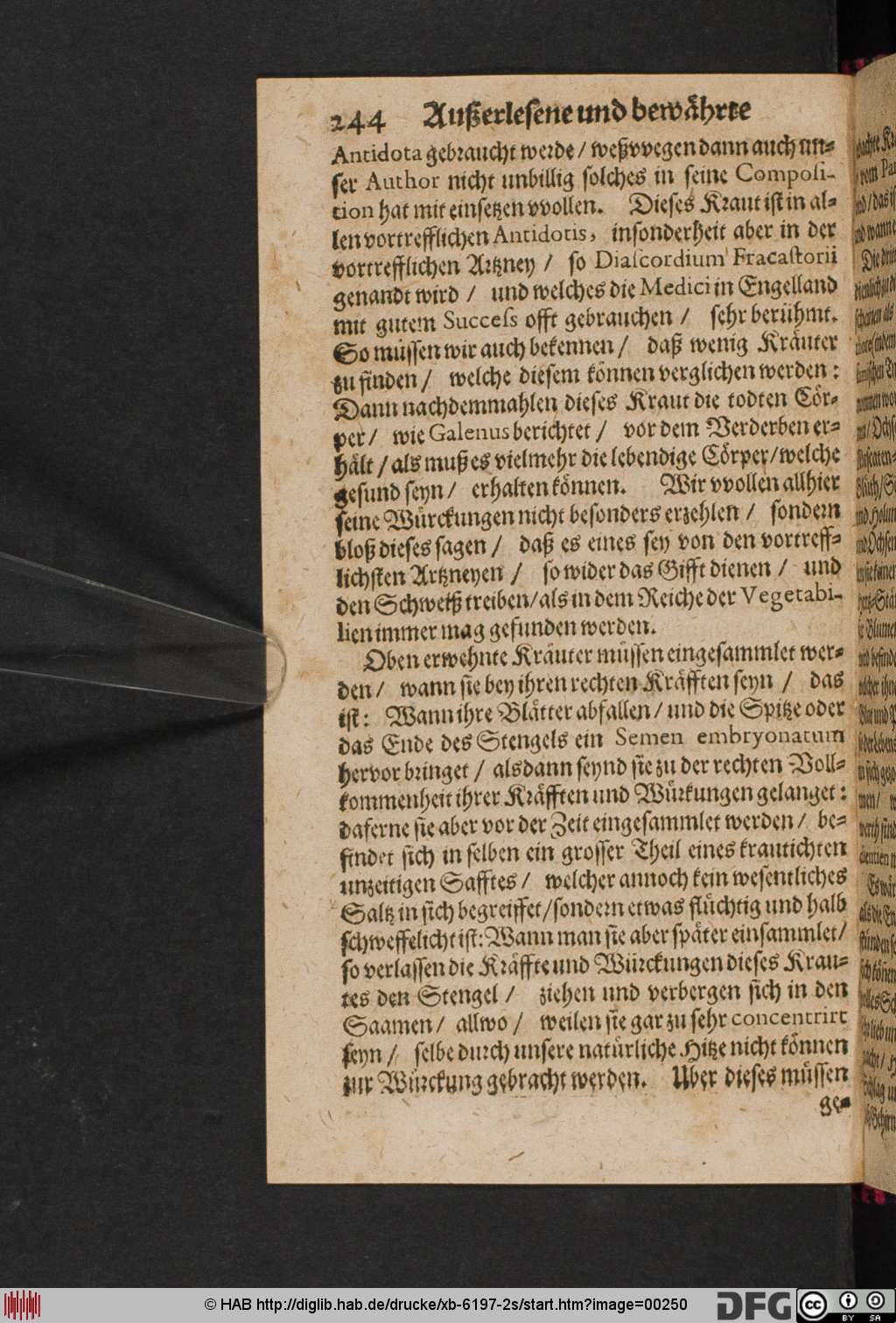 http://diglib.hab.de/drucke/xb-6197-2s/00250.jpg