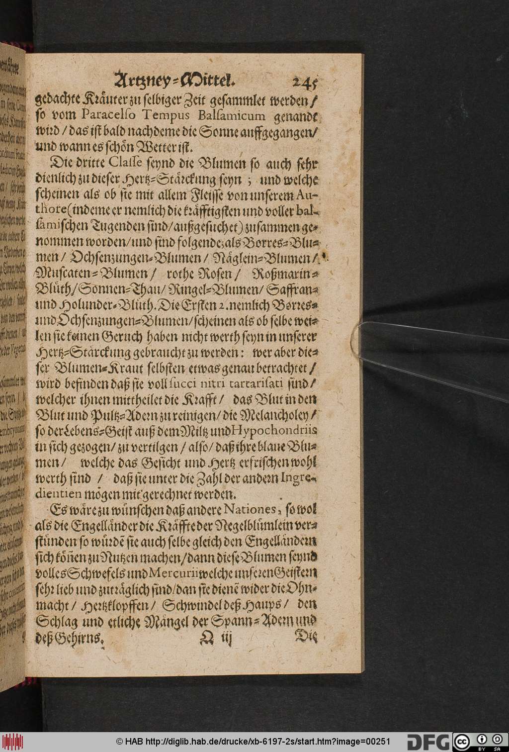 http://diglib.hab.de/drucke/xb-6197-2s/00251.jpg
