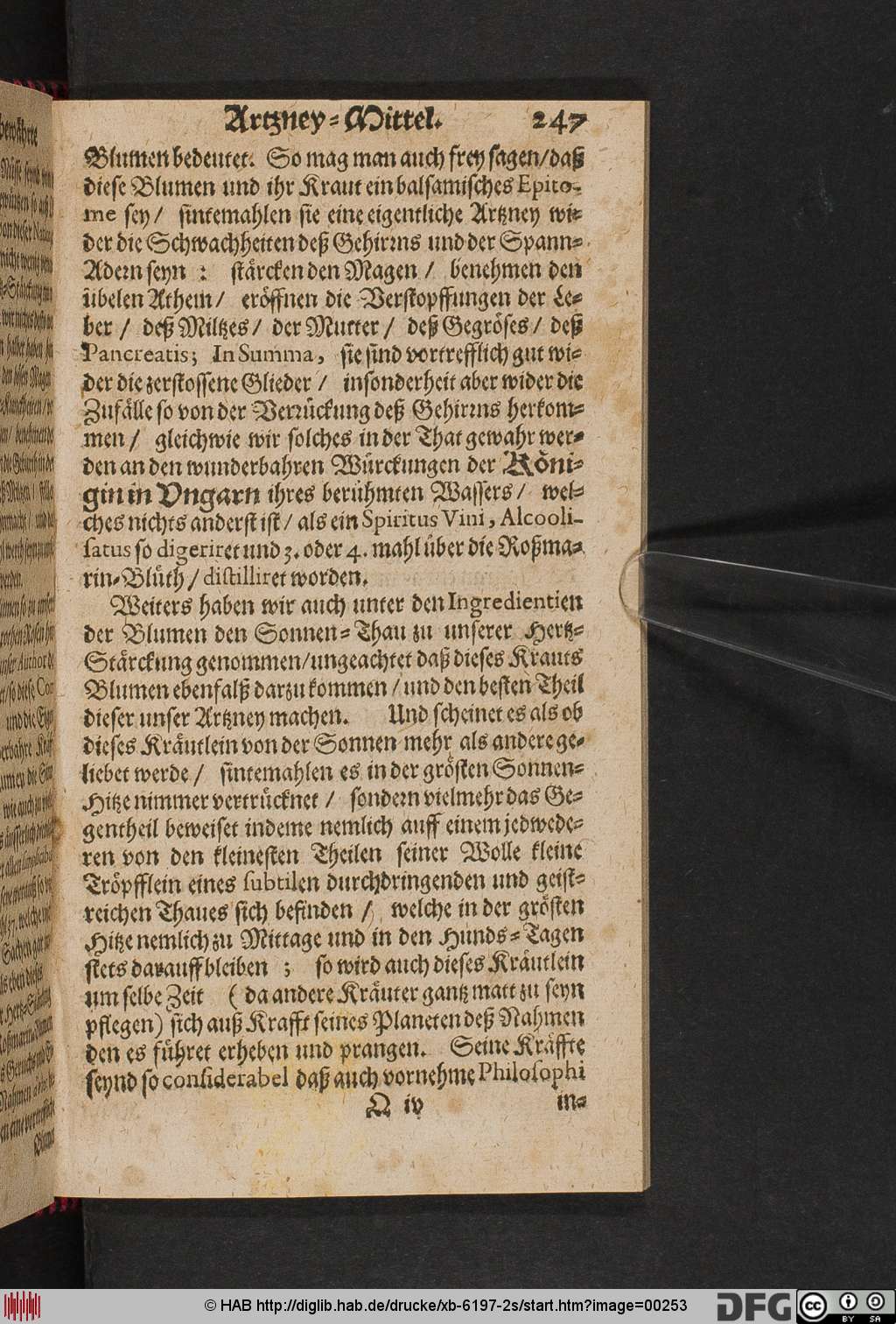 http://diglib.hab.de/drucke/xb-6197-2s/00253.jpg