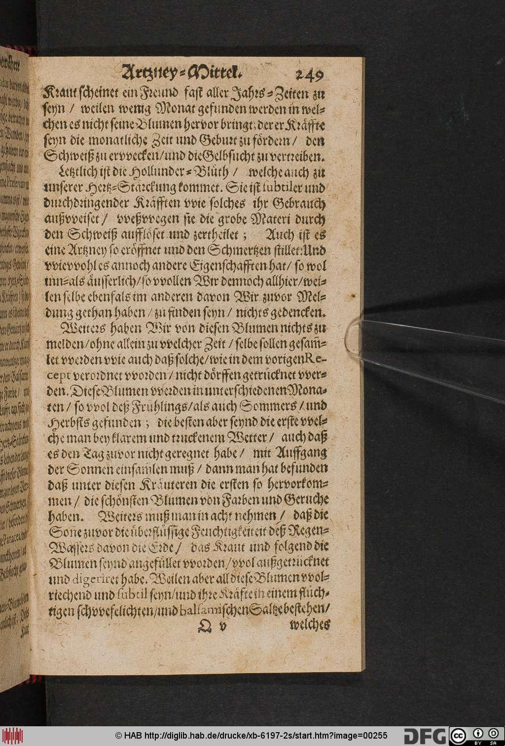http://diglib.hab.de/drucke/xb-6197-2s/00255.jpg