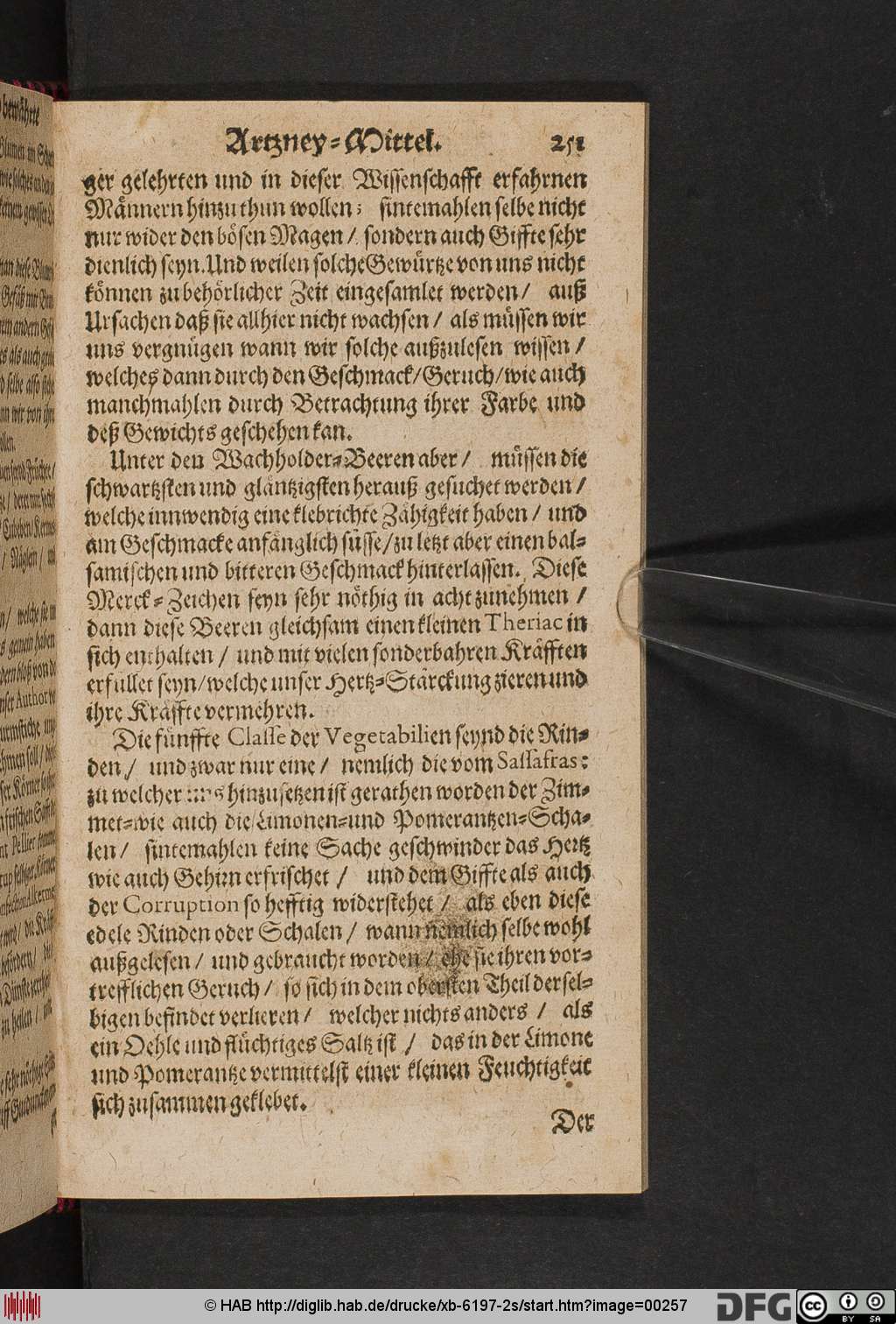 http://diglib.hab.de/drucke/xb-6197-2s/00257.jpg