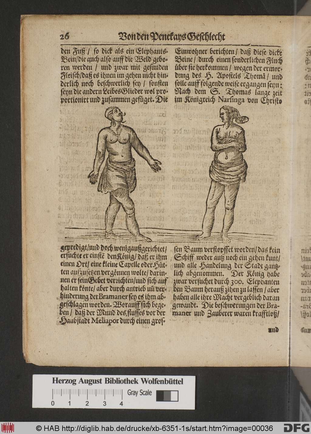 http://diglib.hab.de/drucke/xb-6351-1s/00036.jpg