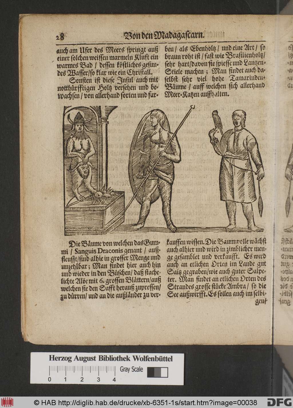 http://diglib.hab.de/drucke/xb-6351-1s/00038.jpg