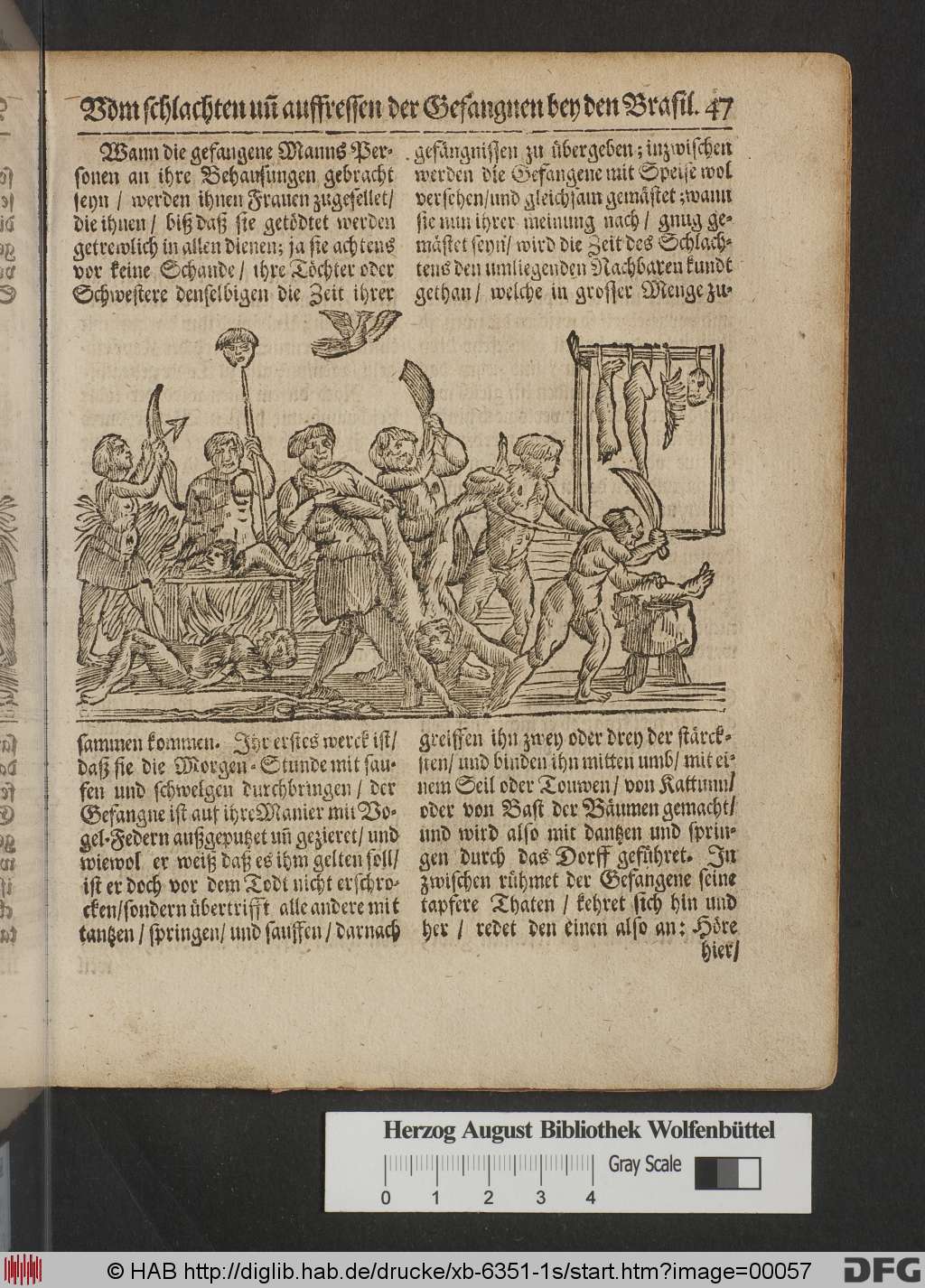 http://diglib.hab.de/drucke/xb-6351-1s/00057.jpg