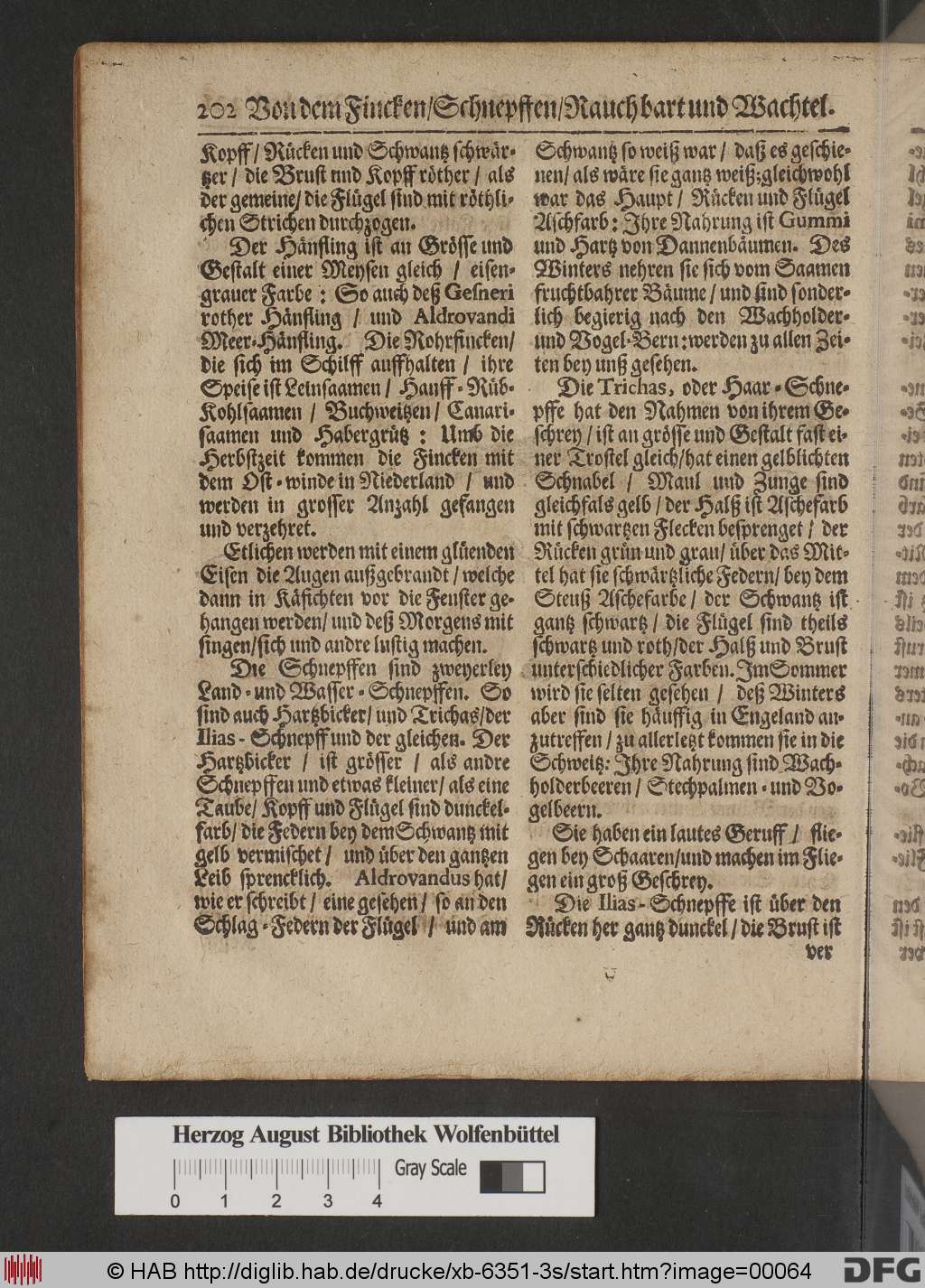 http://diglib.hab.de/drucke/xb-6351-3s/00064.jpg