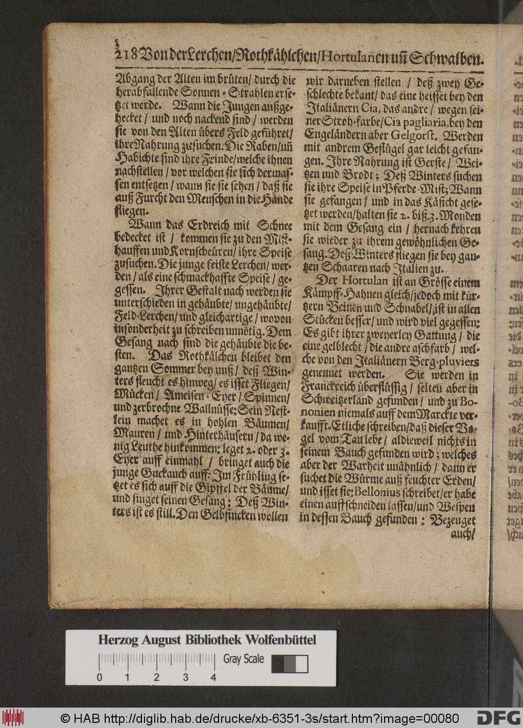 http://diglib.hab.de/drucke/xb-6351-3s/00080.jpg