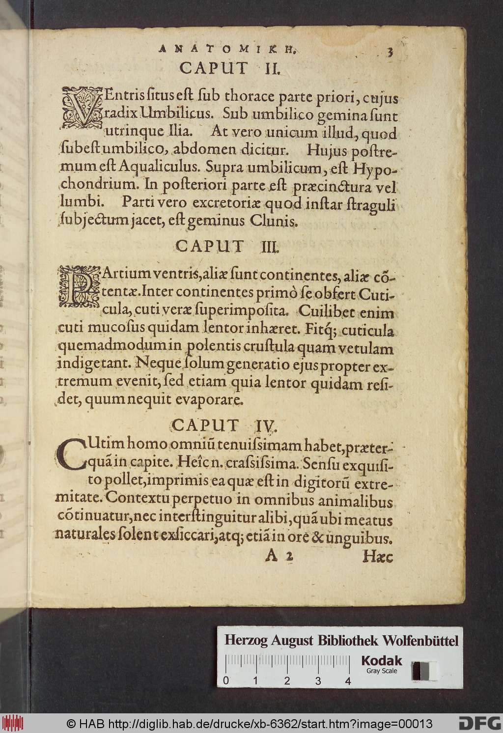 http://diglib.hab.de/drucke/xb-6362/00013.jpg