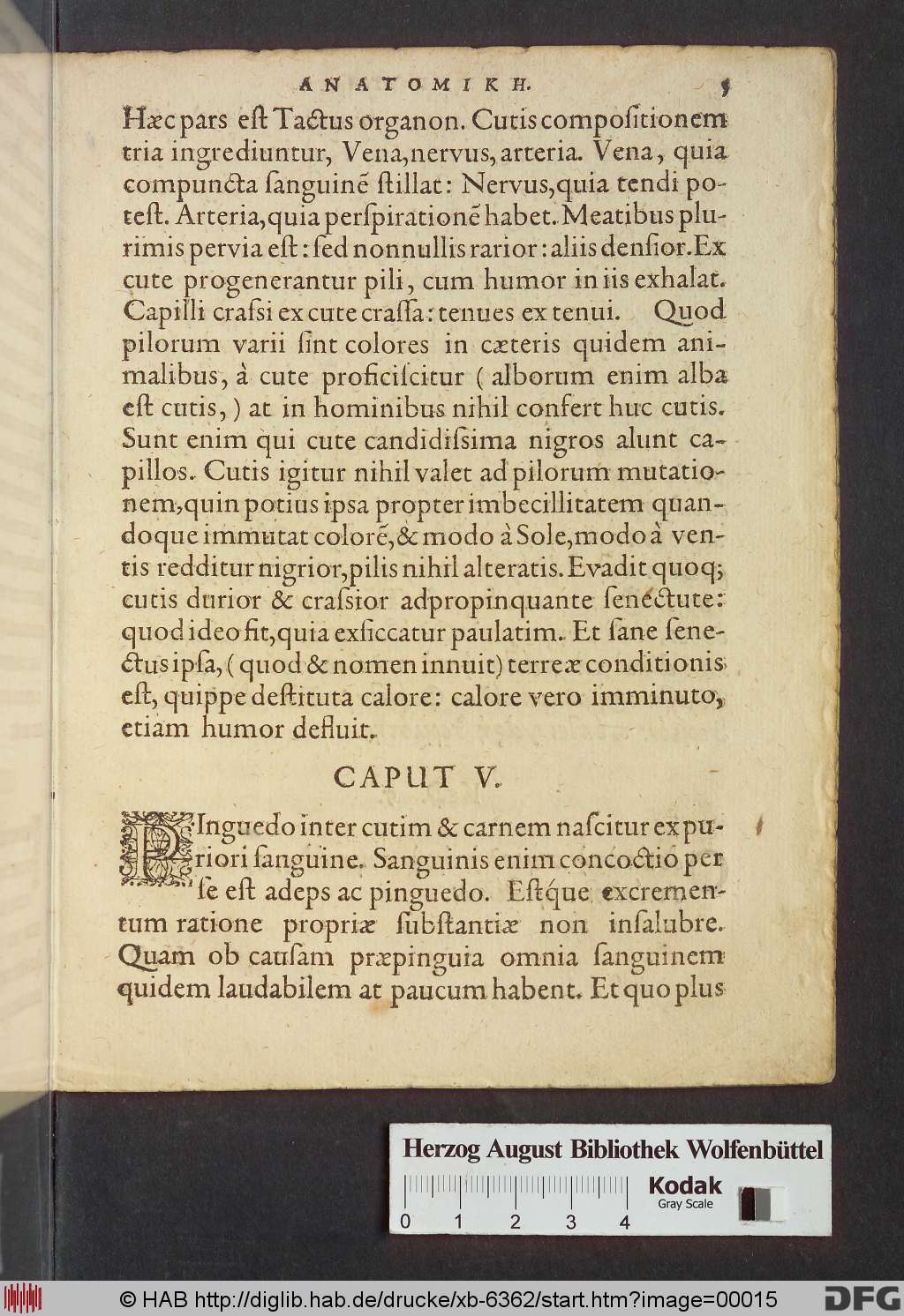 http://diglib.hab.de/drucke/xb-6362/00015.jpg