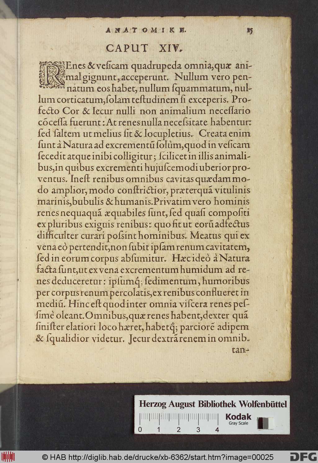 http://diglib.hab.de/drucke/xb-6362/00025.jpg