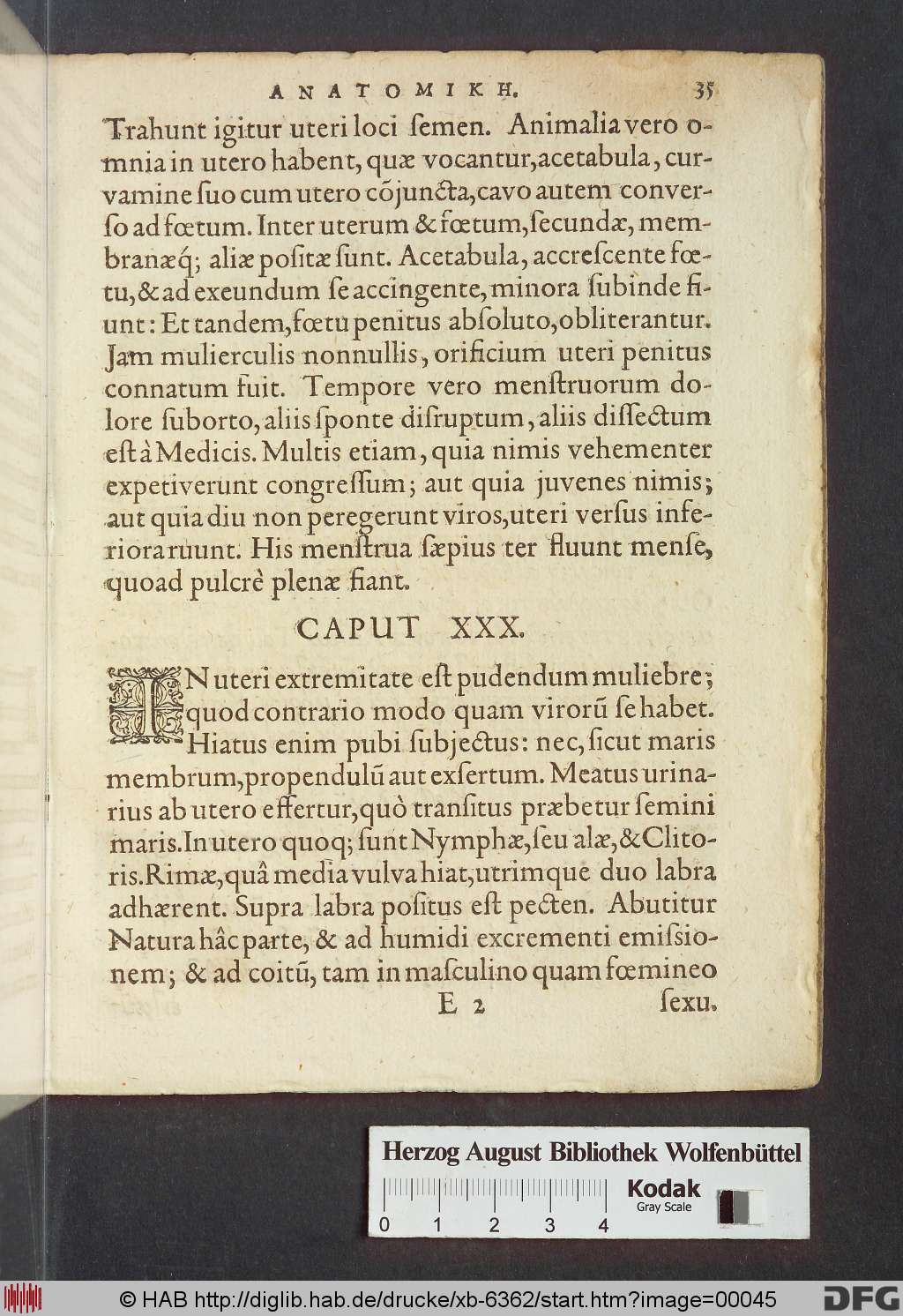 http://diglib.hab.de/drucke/xb-6362/00045.jpg