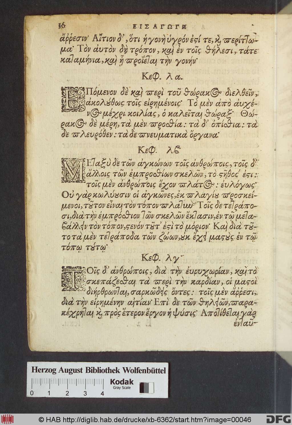http://diglib.hab.de/drucke/xb-6362/00046.jpg