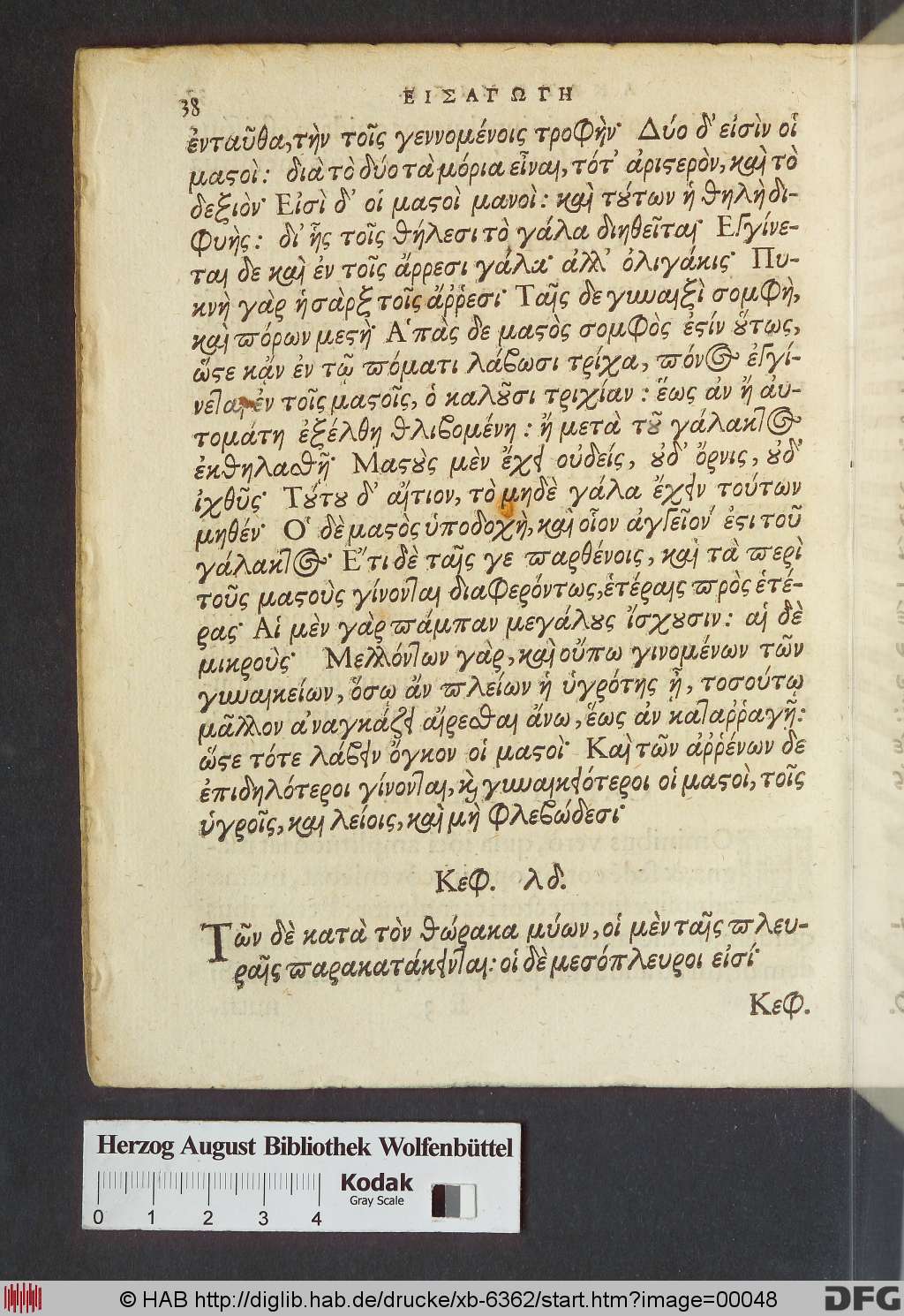 http://diglib.hab.de/drucke/xb-6362/00048.jpg
