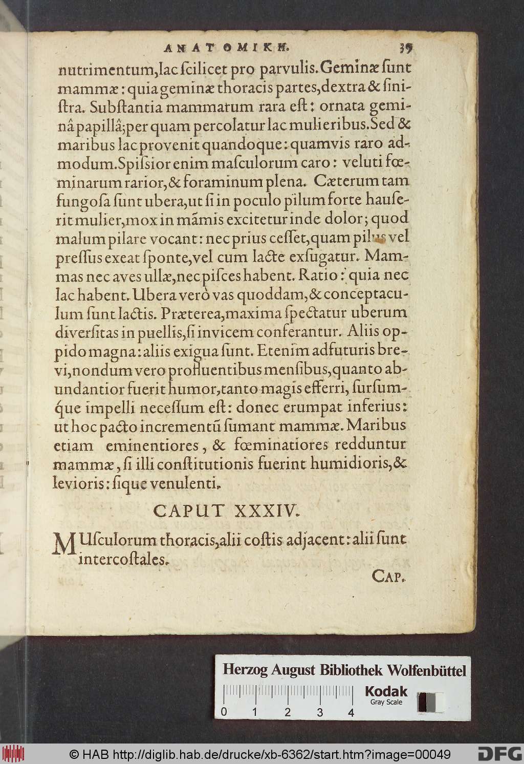 http://diglib.hab.de/drucke/xb-6362/00049.jpg