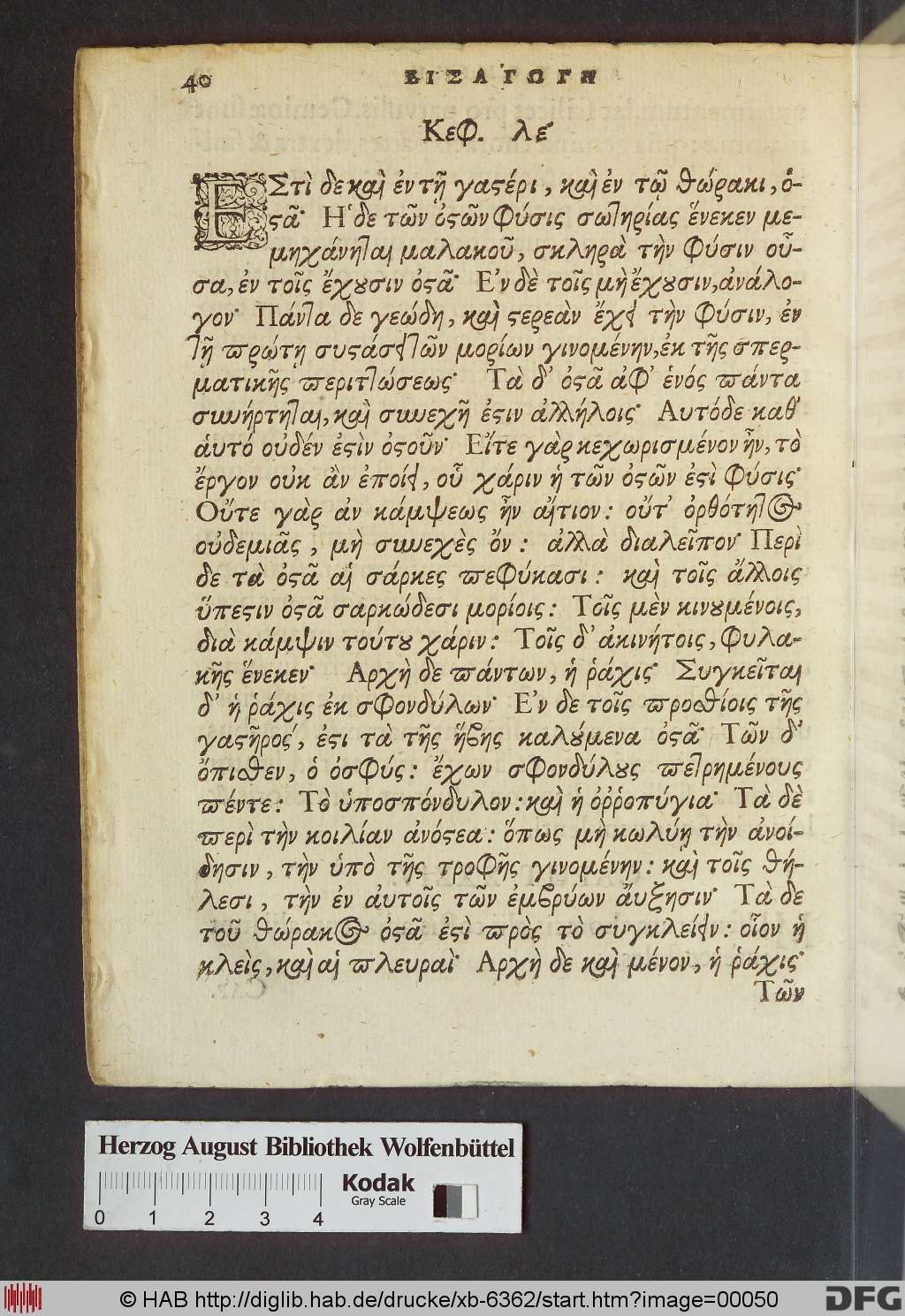 http://diglib.hab.de/drucke/xb-6362/00050.jpg