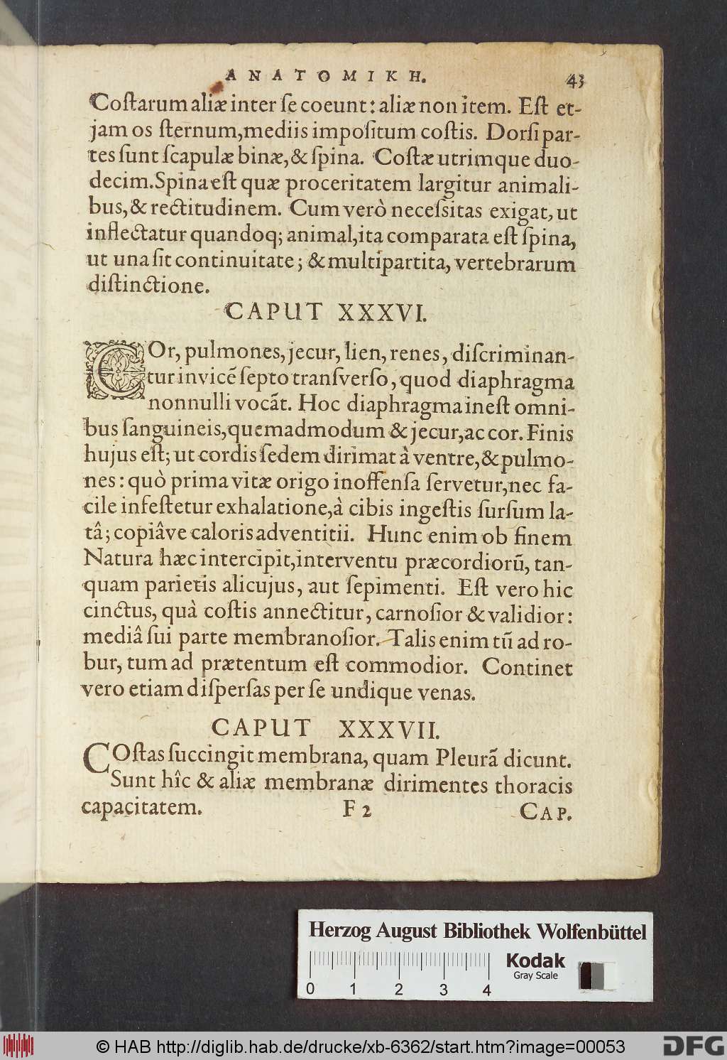 http://diglib.hab.de/drucke/xb-6362/00053.jpg
