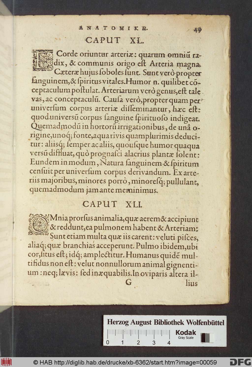 http://diglib.hab.de/drucke/xb-6362/00059.jpg