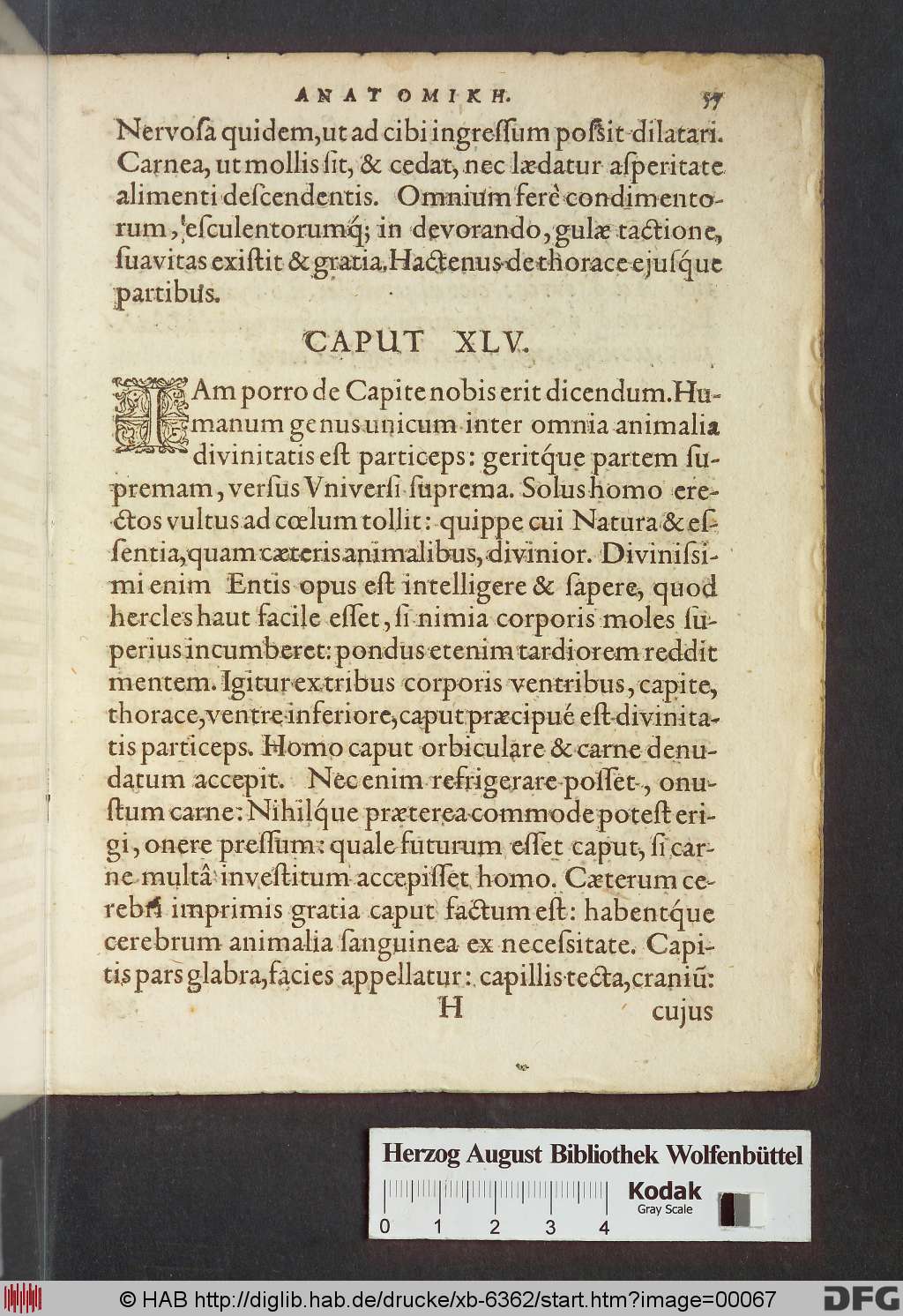 http://diglib.hab.de/drucke/xb-6362/00067.jpg