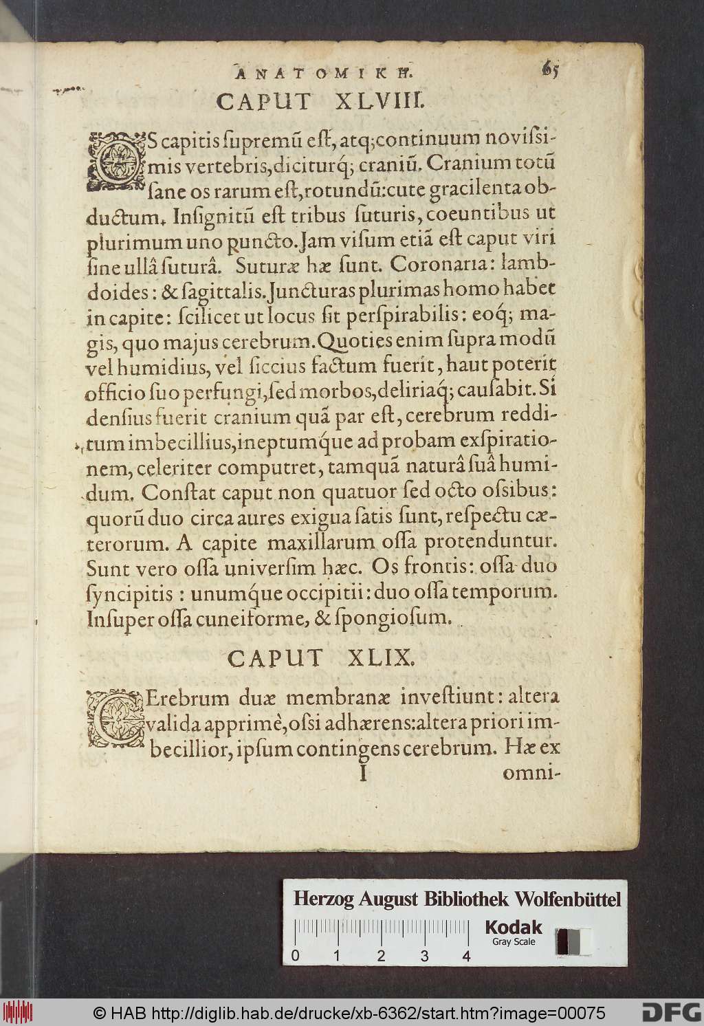 http://diglib.hab.de/drucke/xb-6362/00075.jpg