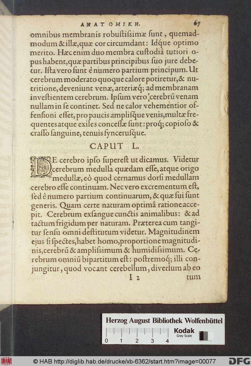 http://diglib.hab.de/drucke/xb-6362/00077.jpg