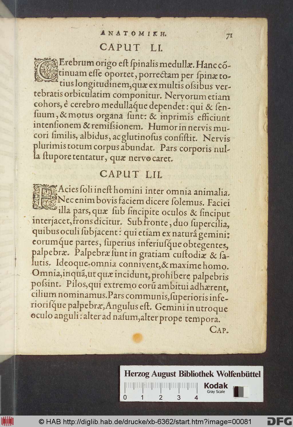 http://diglib.hab.de/drucke/xb-6362/00081.jpg