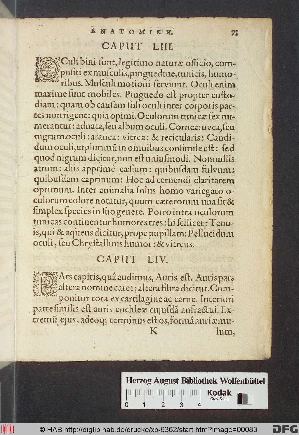 http://diglib.hab.de/drucke/xb-6362/00083.jpg