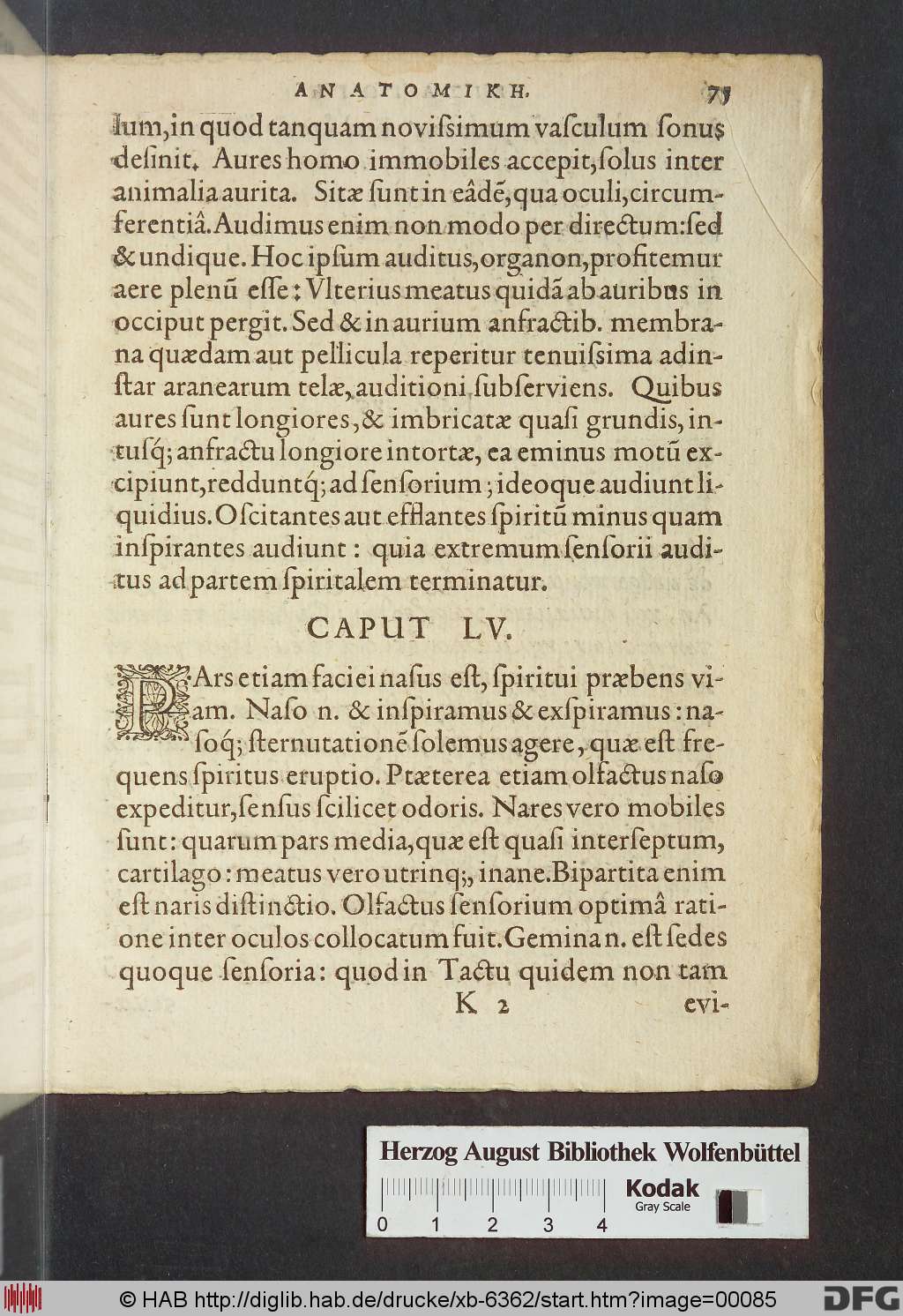 http://diglib.hab.de/drucke/xb-6362/00085.jpg