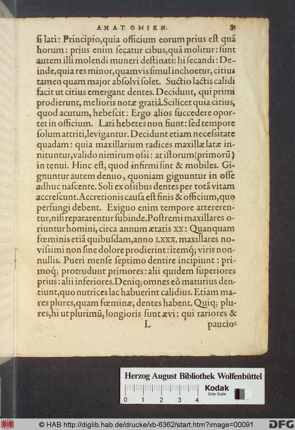http://diglib.hab.de/drucke/xb-6362/00091.jpg