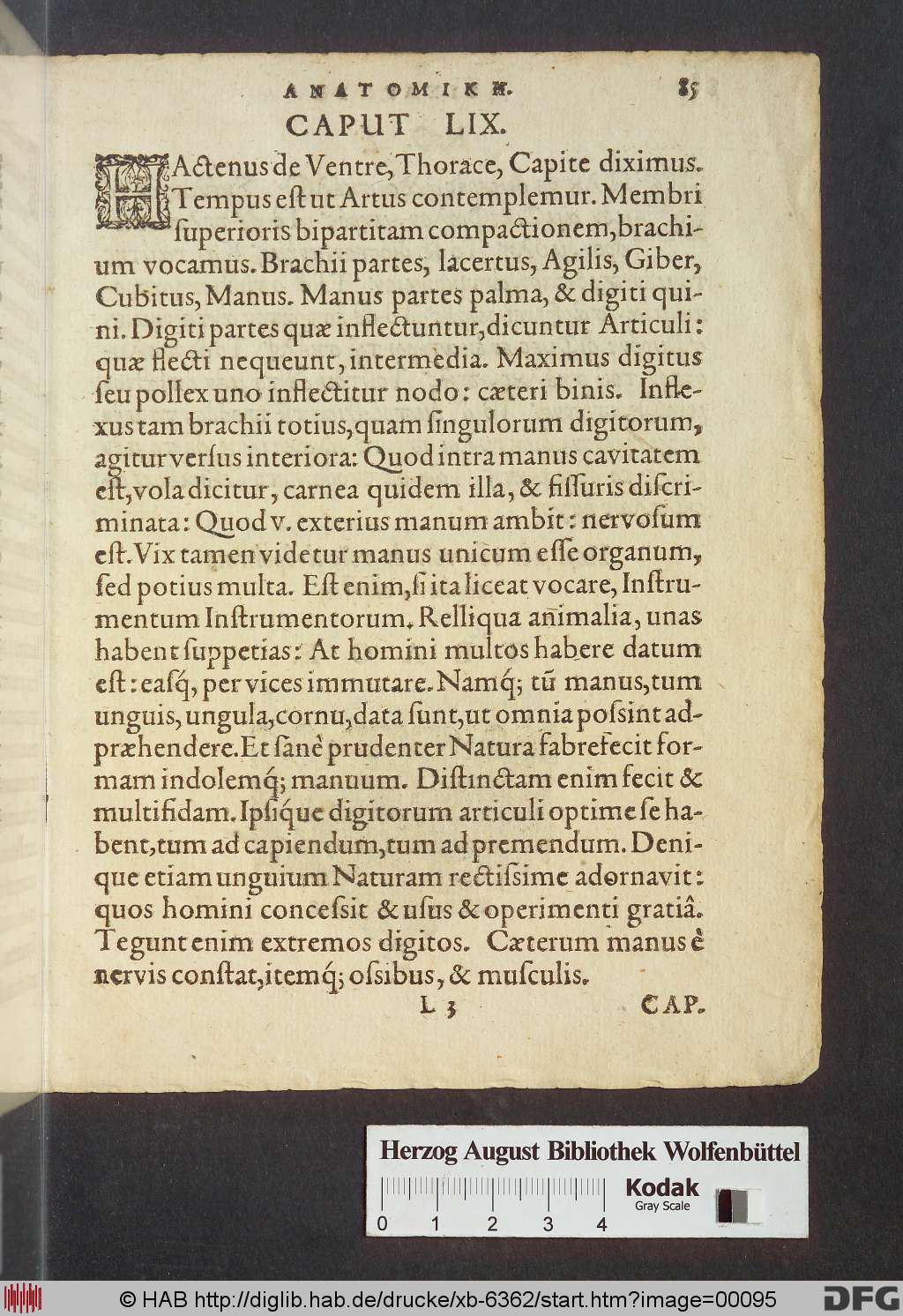 http://diglib.hab.de/drucke/xb-6362/00095.jpg