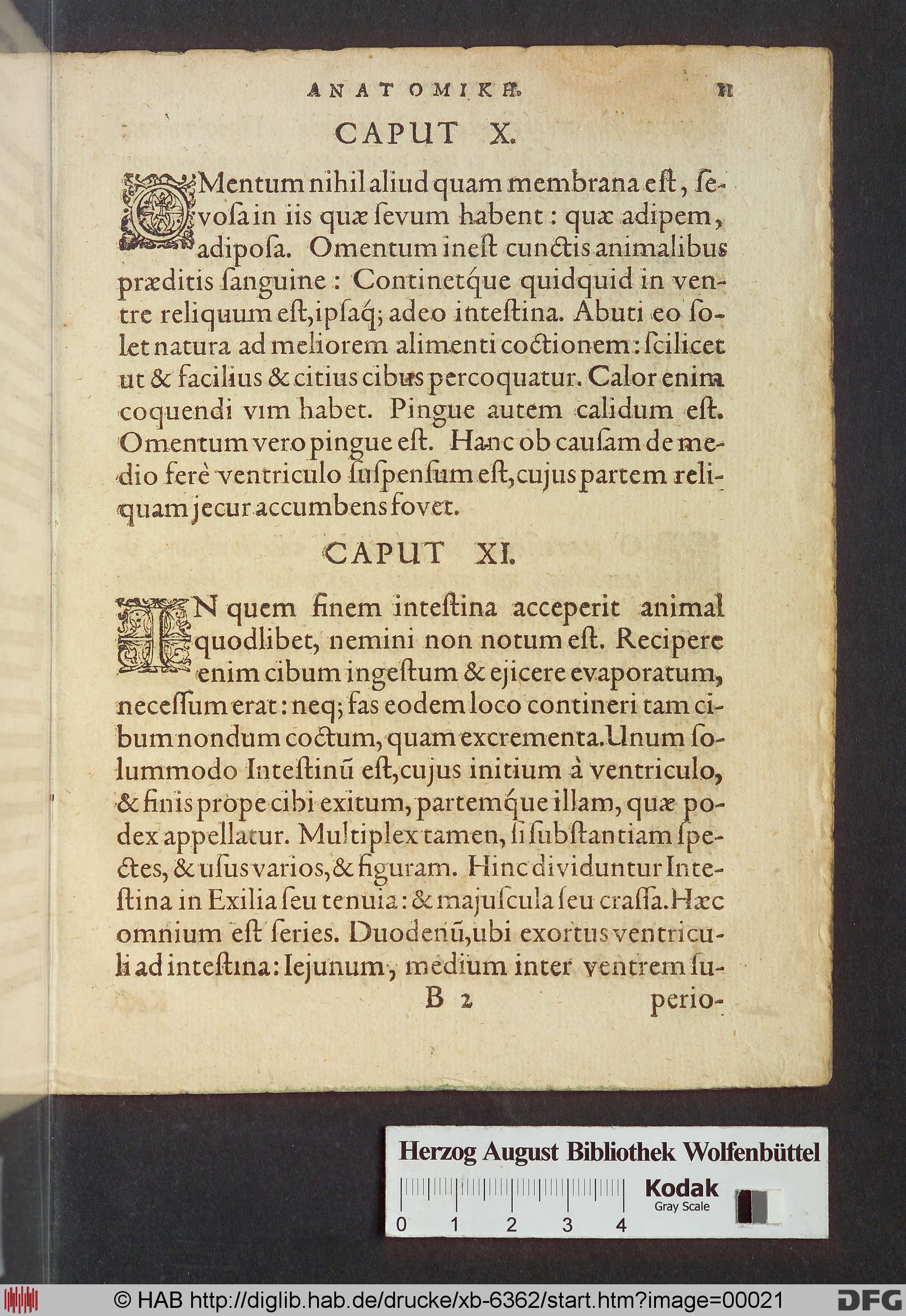 http://diglib.hab.de/drucke/xb-6362/max/00021.jpg