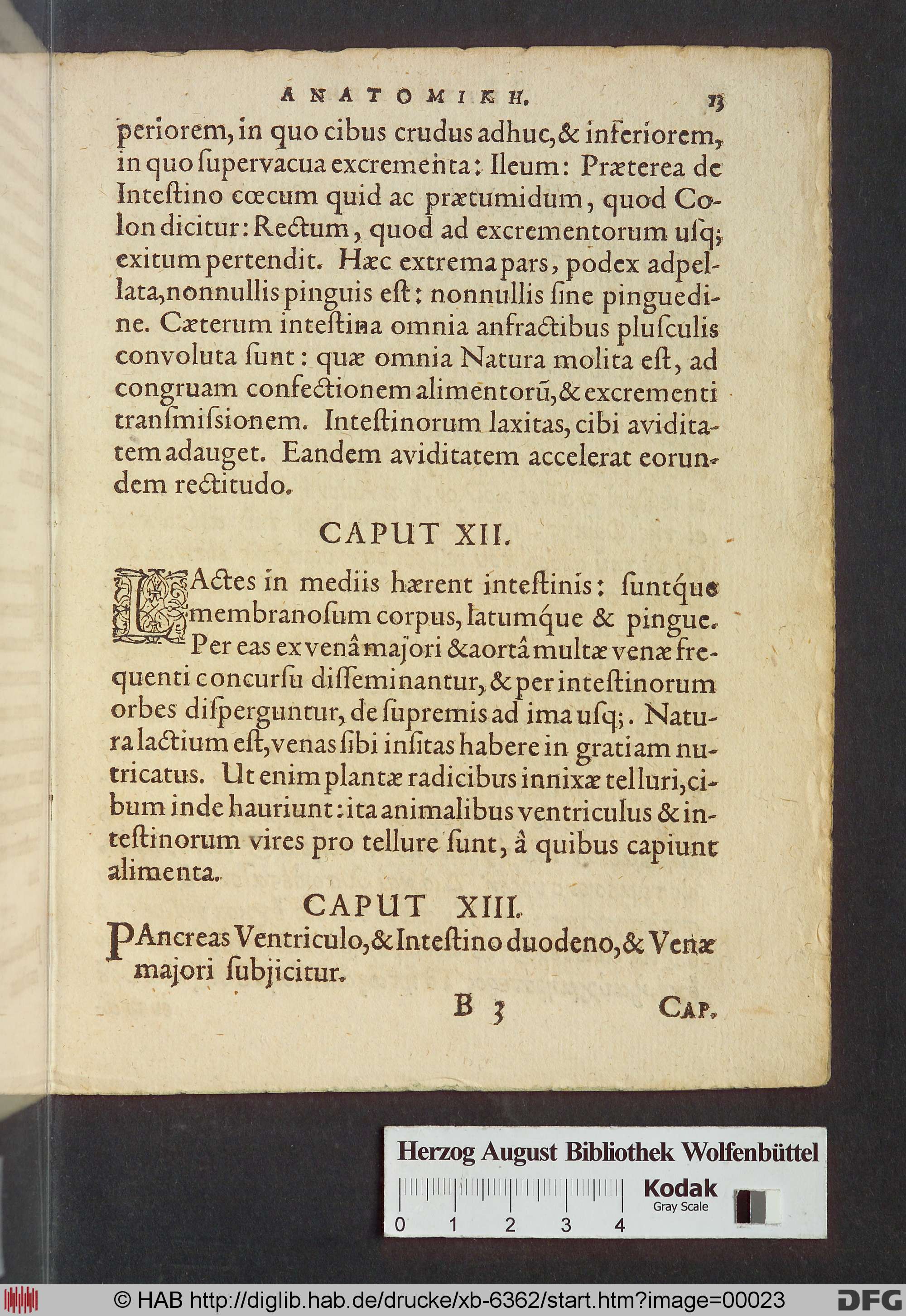 http://diglib.hab.de/drucke/xb-6362/max/00023.jpg