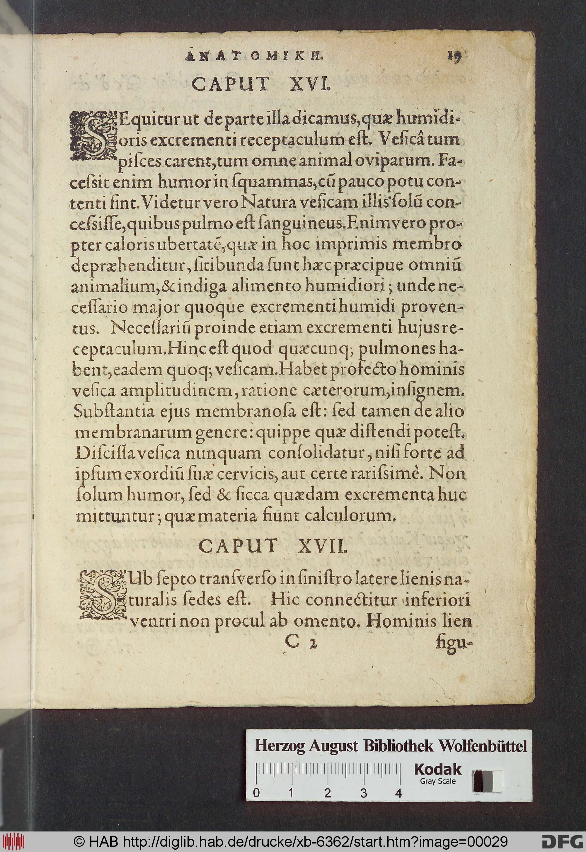 http://diglib.hab.de/drucke/xb-6362/max/00029.jpg