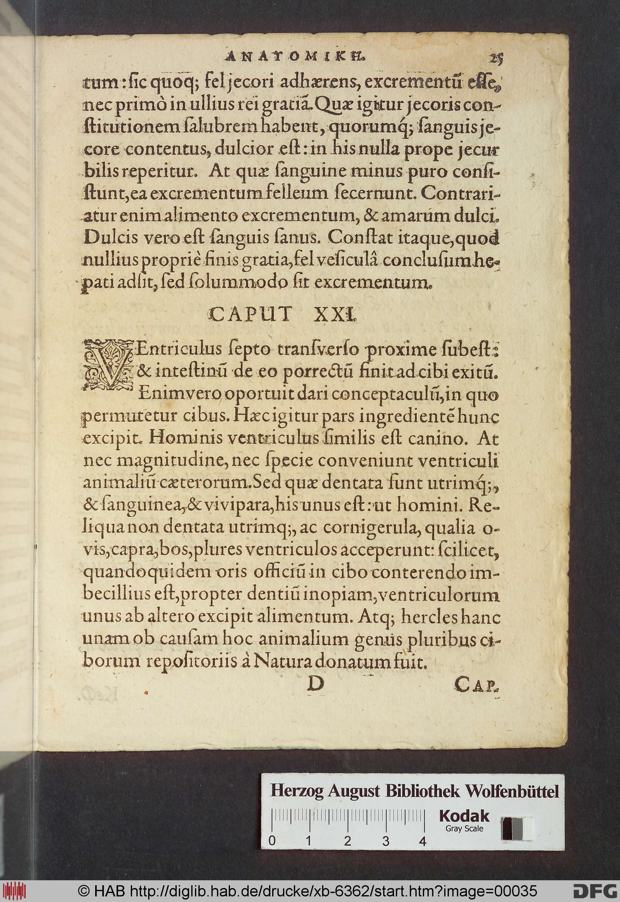 http://diglib.hab.de/drucke/xb-6362/max/00035.jpg