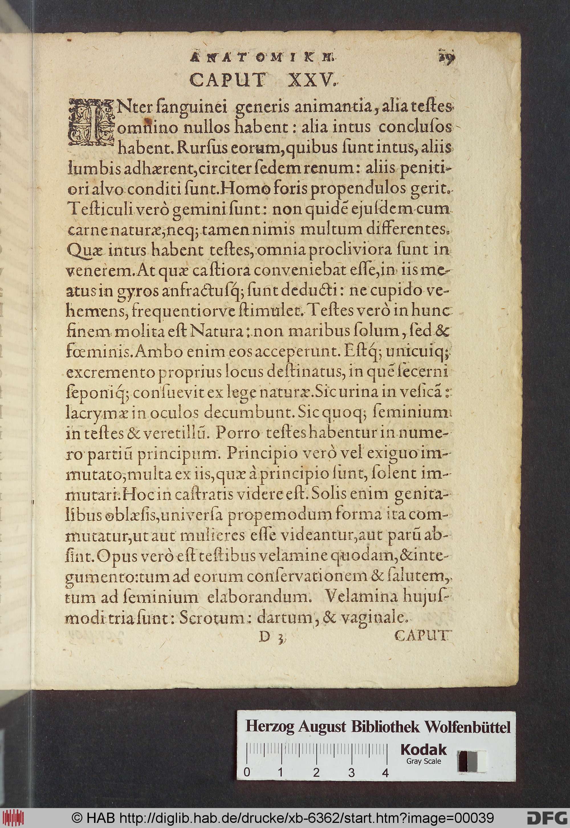 http://diglib.hab.de/drucke/xb-6362/max/00039.jpg