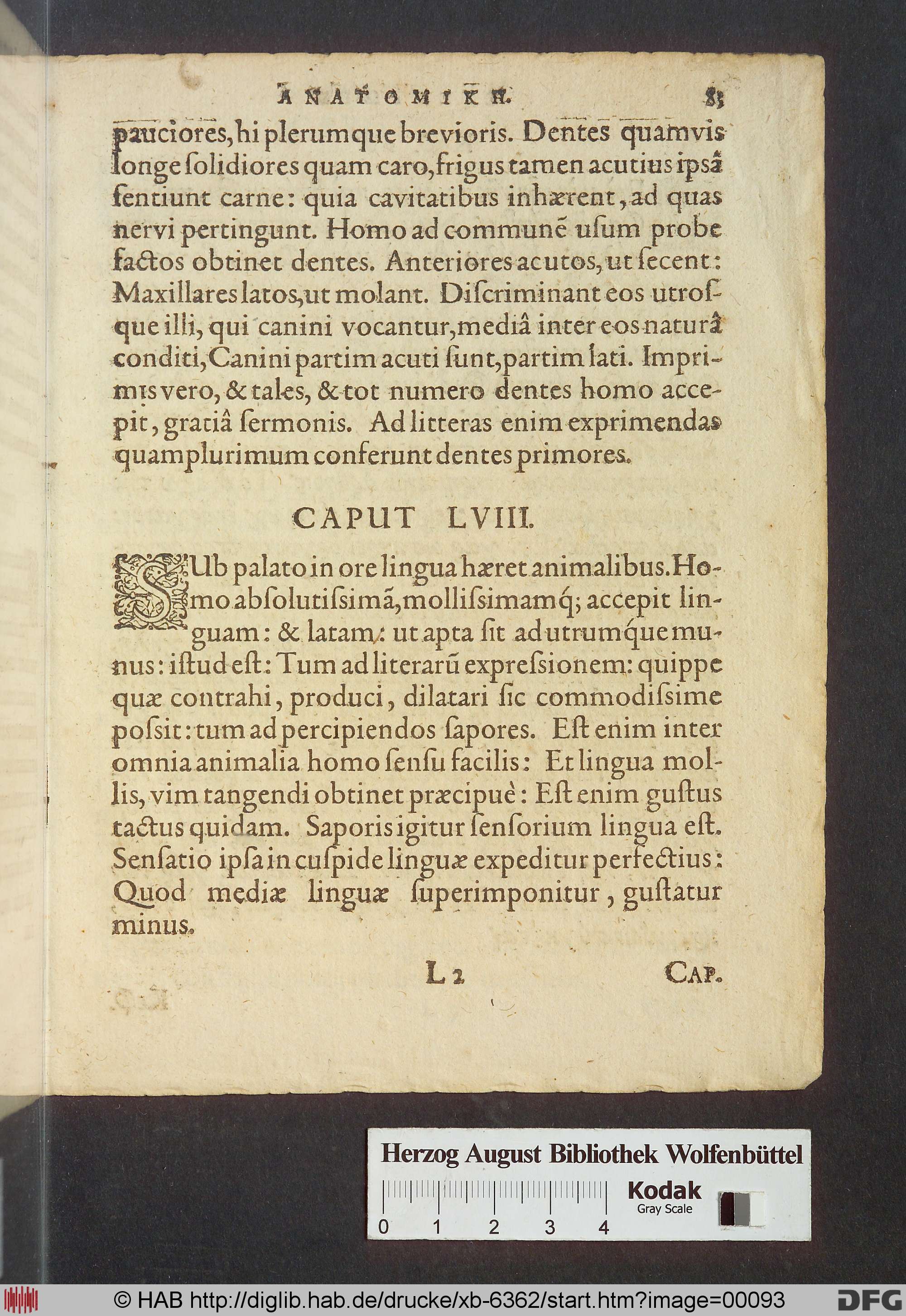 http://diglib.hab.de/drucke/xb-6362/max/00093.jpg