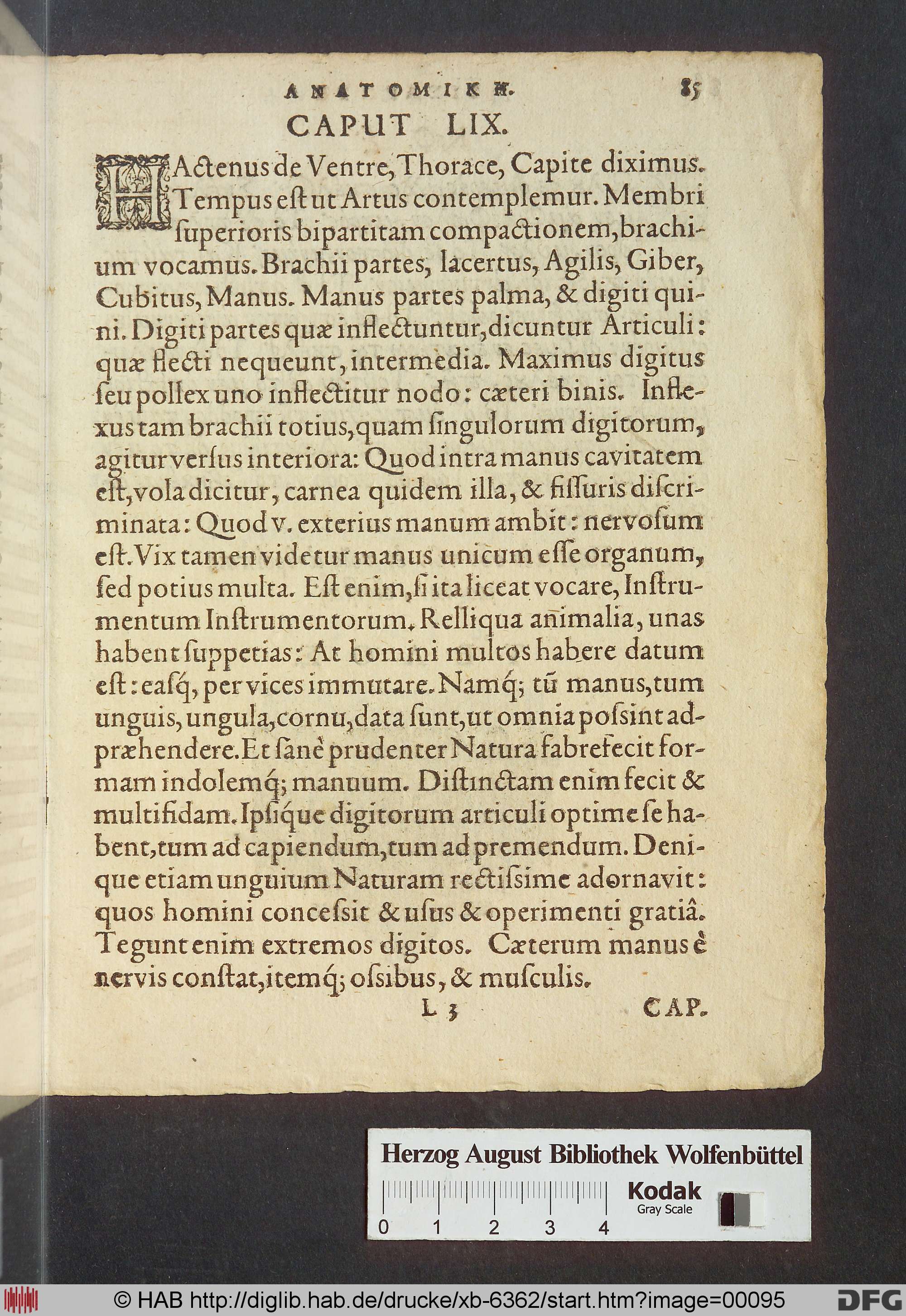 http://diglib.hab.de/drucke/xb-6362/max/00095.jpg