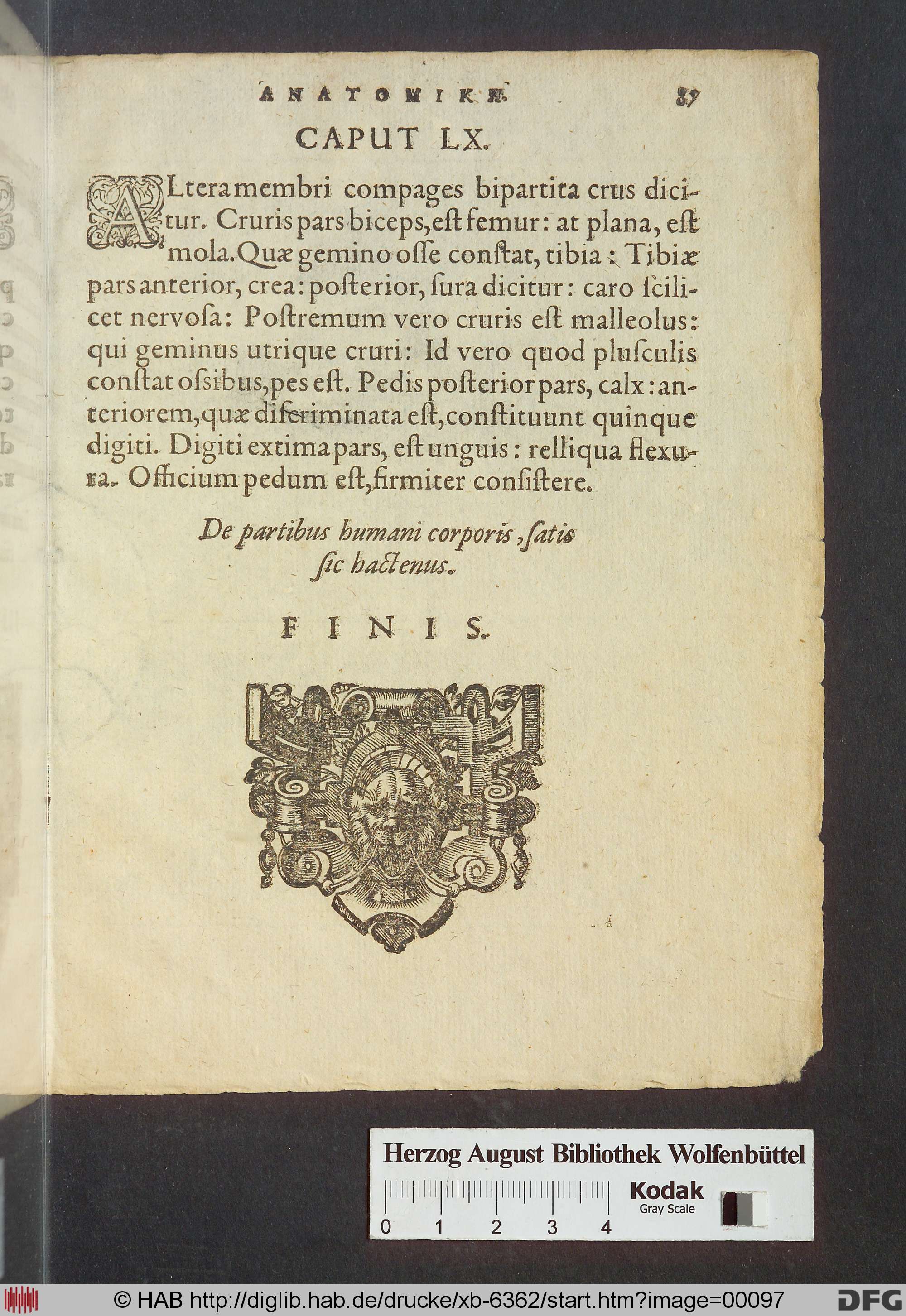 http://diglib.hab.de/drucke/xb-6362/max/00097.jpg