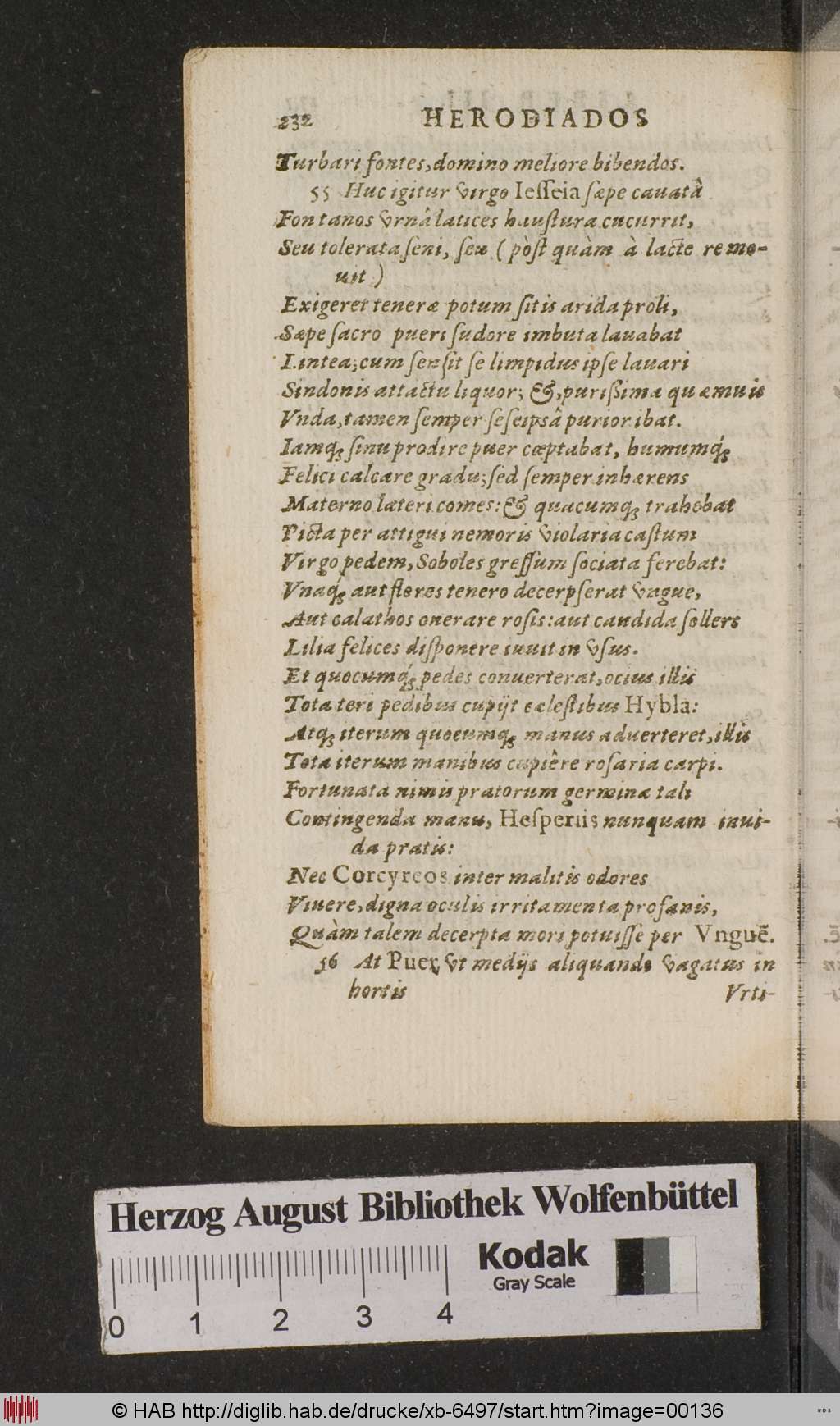 http://diglib.hab.de/drucke/xb-6497/00136.jpg