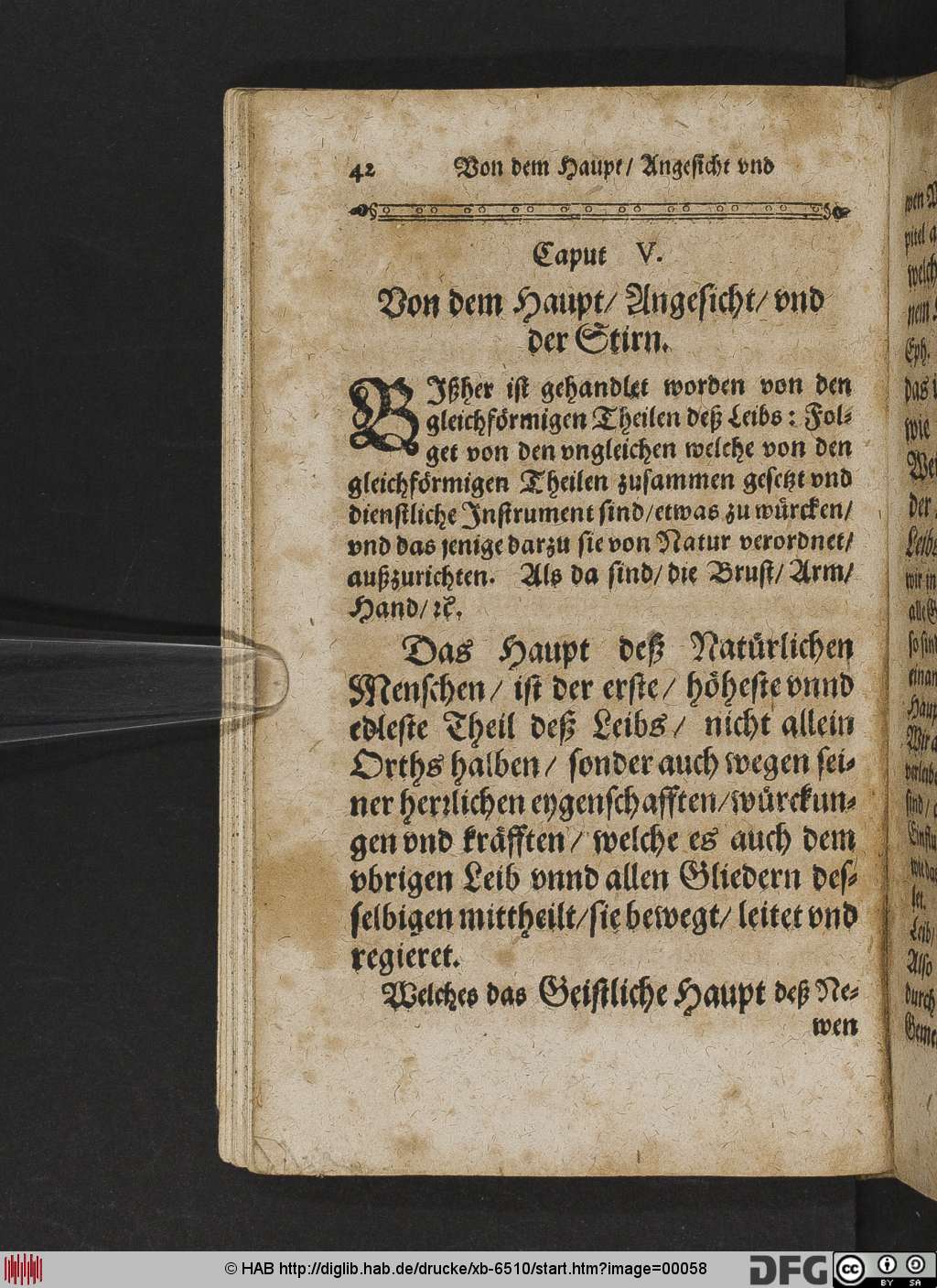 http://diglib.hab.de/drucke/xb-6510/00058.jpg