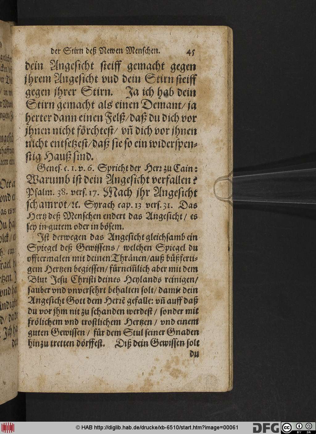 http://diglib.hab.de/drucke/xb-6510/00061.jpg