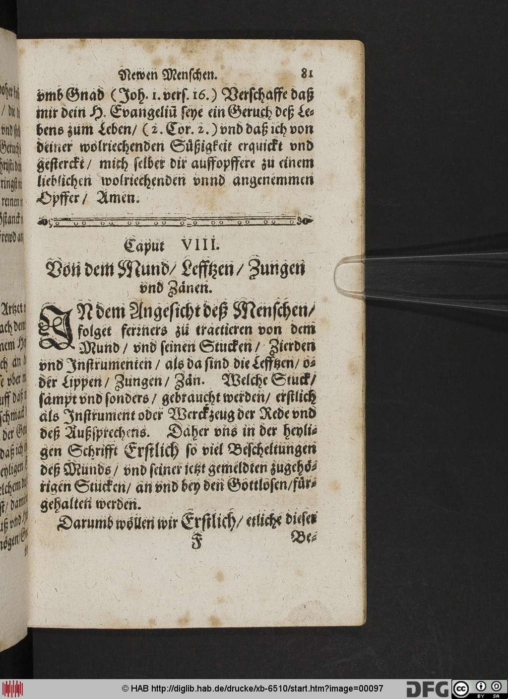 http://diglib.hab.de/drucke/xb-6510/00097.jpg