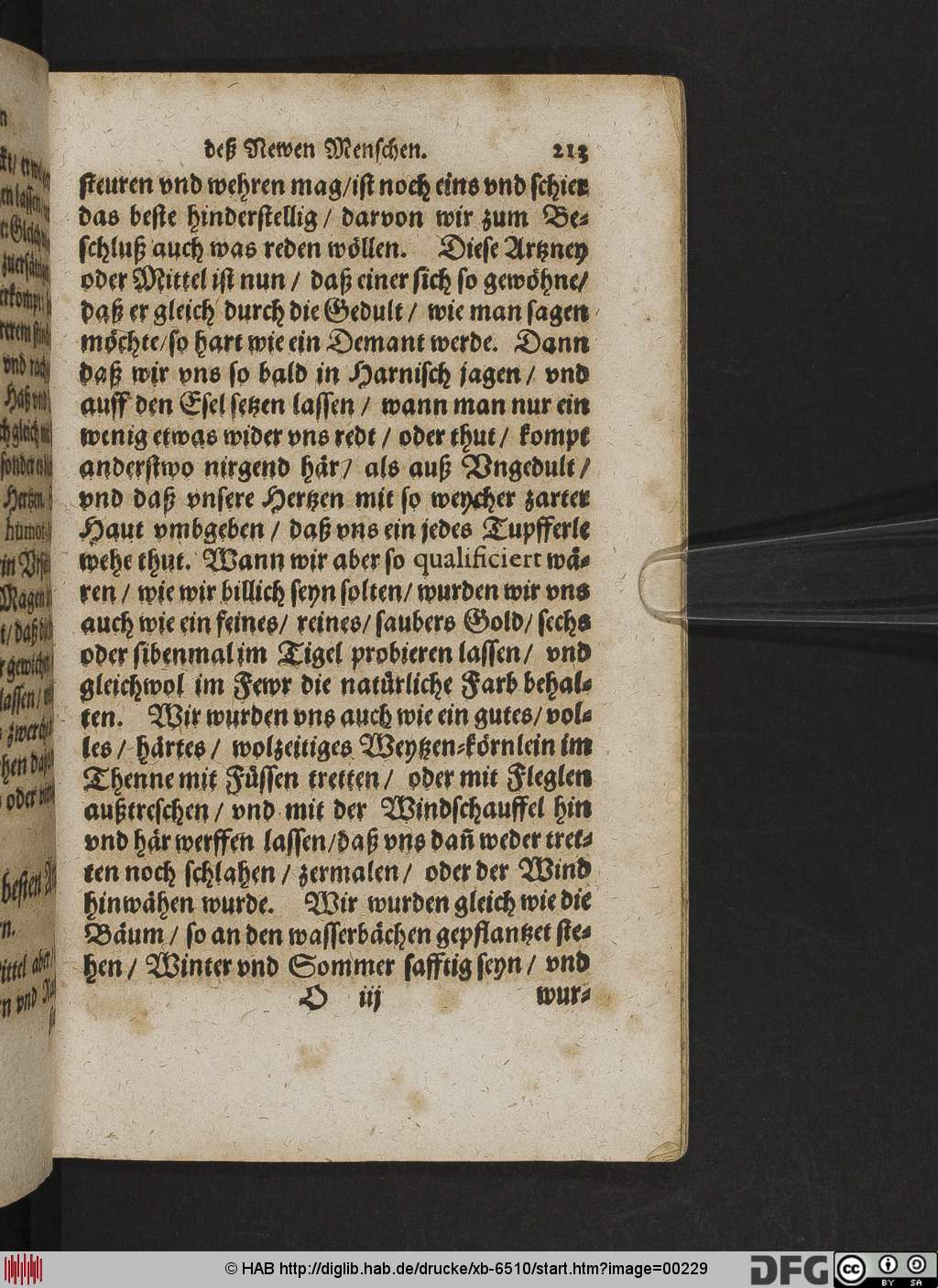 http://diglib.hab.de/drucke/xb-6510/00229.jpg