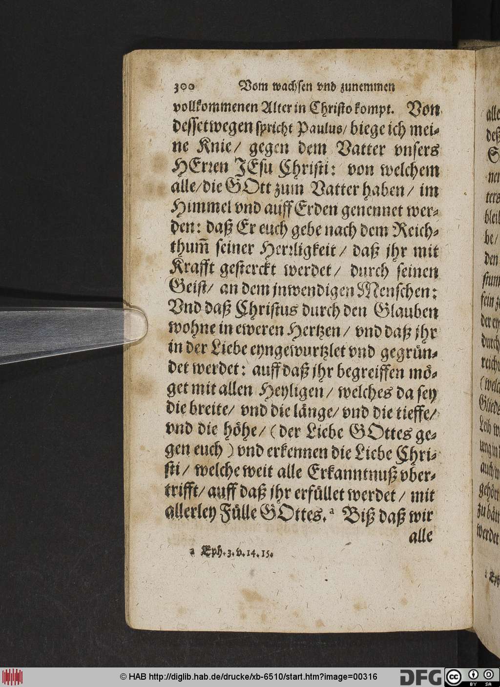 http://diglib.hab.de/drucke/xb-6510/00316.jpg