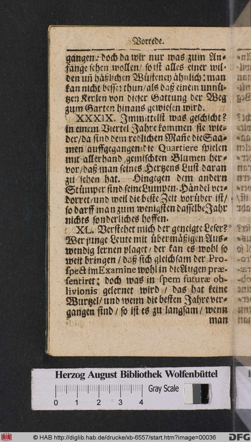 http://diglib.hab.de/drucke/xb-6557/00036.jpg